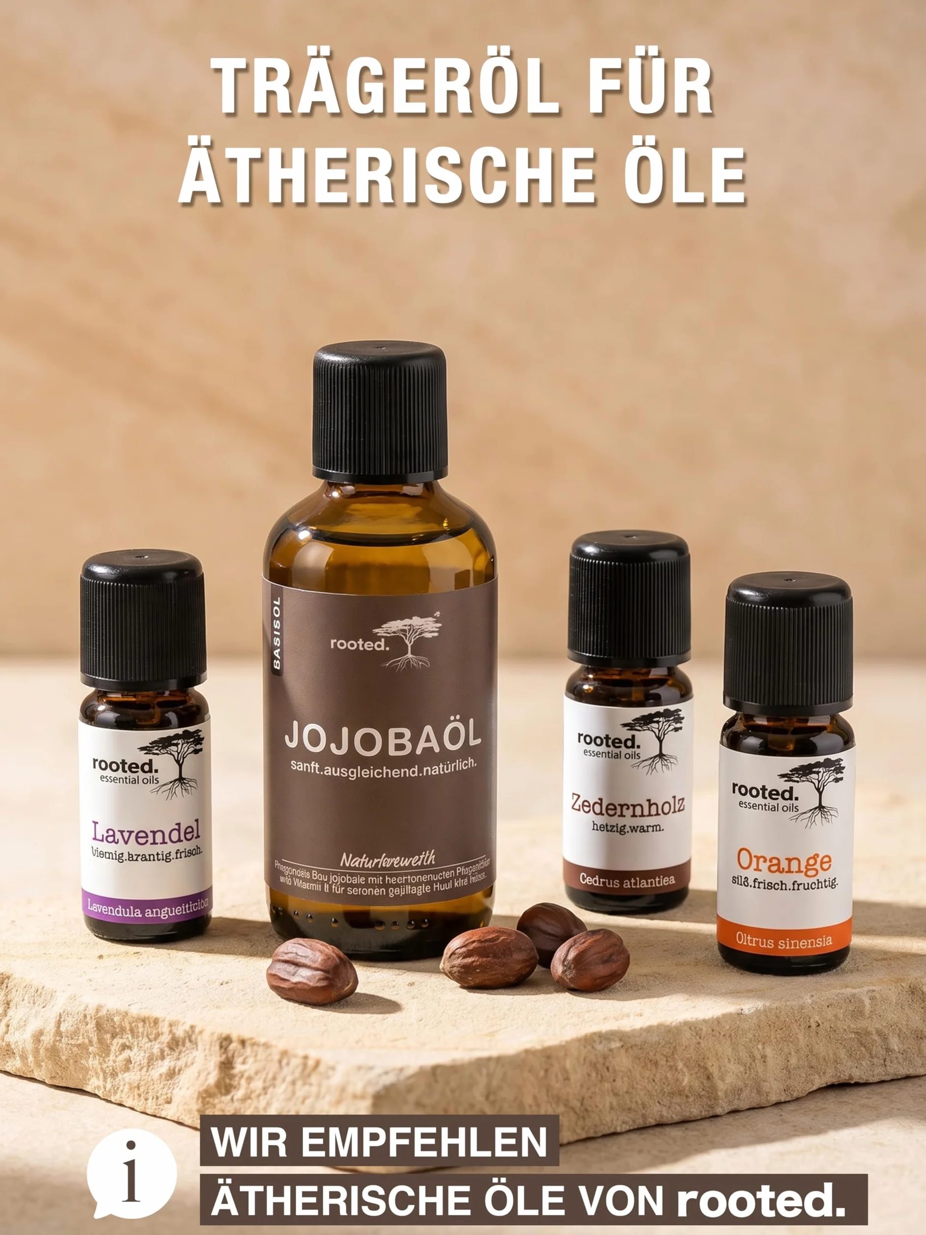 rooted.® Bio olejek jojoba 50 ml – 100% czysty, tłoczony na zimno olejek jojoba – olej nośny do olejków eterycznych – pielęgnacja skóry, twarzy, włosów, paznokci i brody – naturalny i bez dodatków