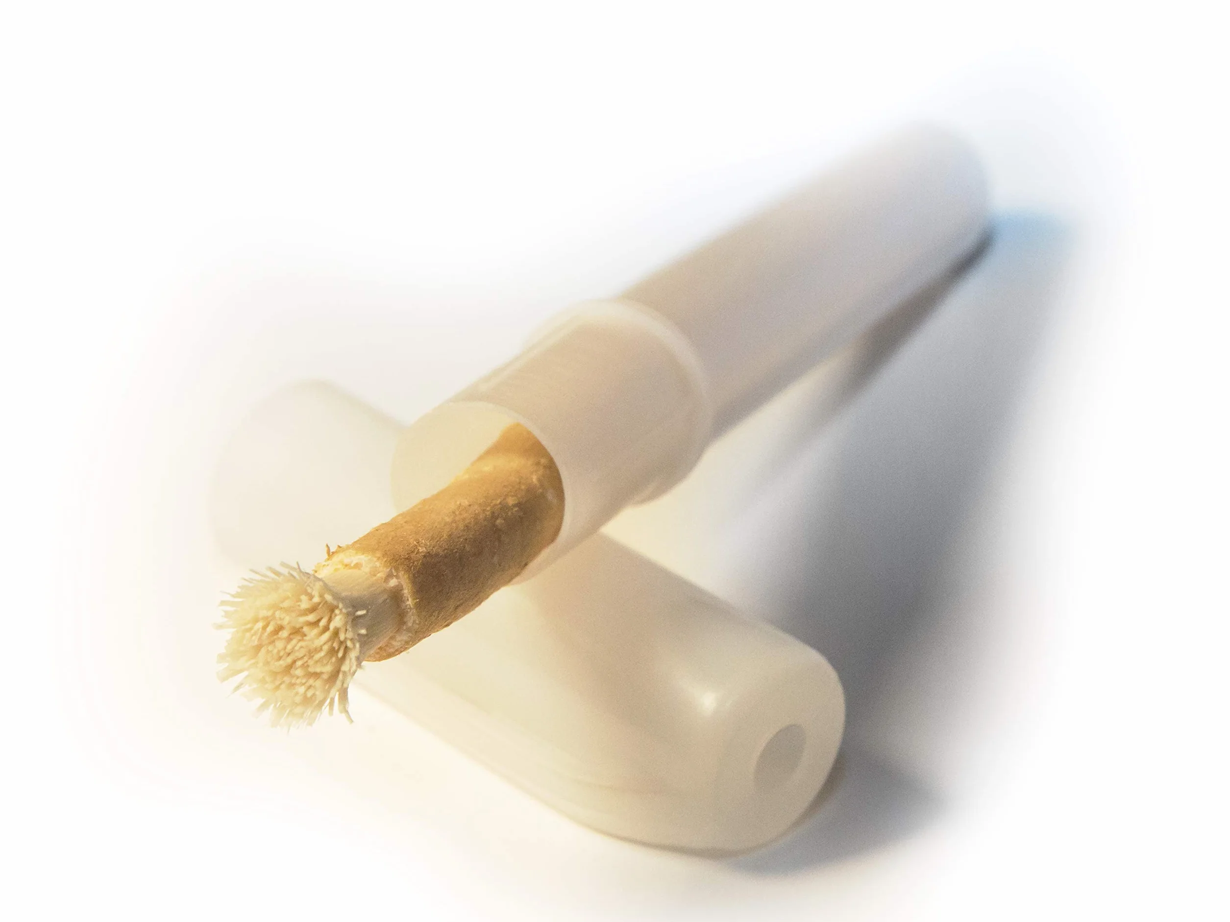 Miswak naturalna szczoteczka do zębów i etui ochronna. Siwak do czyszczenie i wybielania zębów. Minerały dla zdrowych zębów i dziąseł.