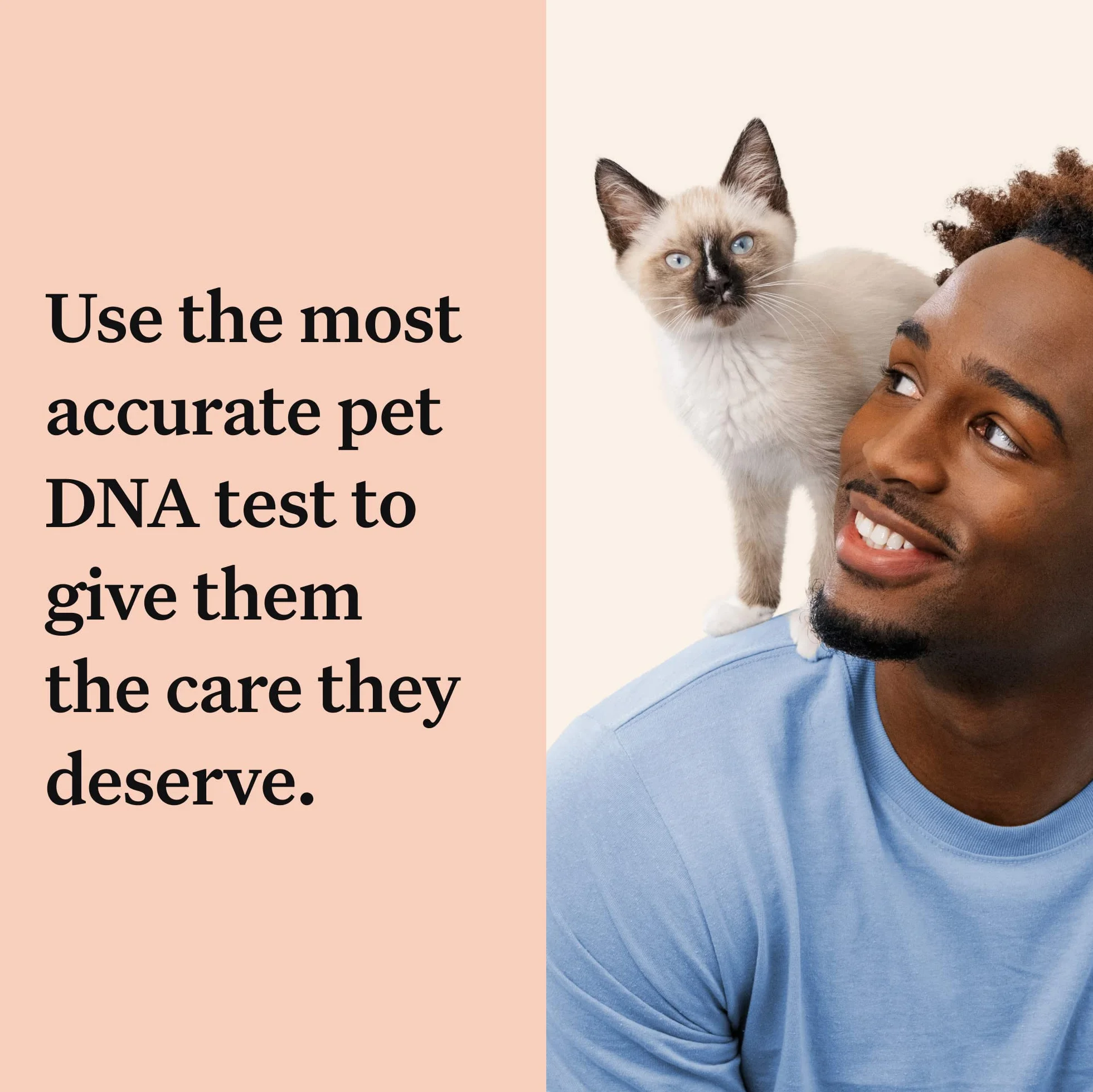 Wisdom Panel Kompletny: Kompleksowy test DNA kota na 45 zdrowotnych schorzeń genetycznych | Ponad 70 ras i populacji | Ponad 25 cech | Grupa krwi