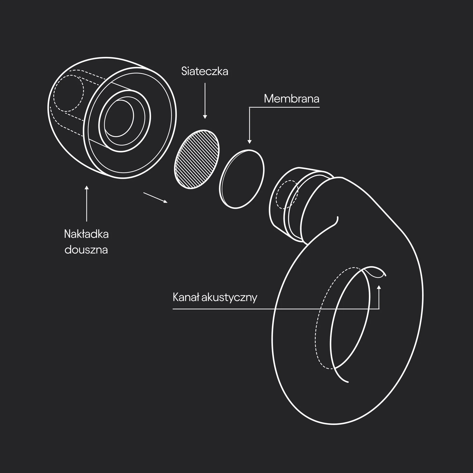 Loop Experience Equinox zatyczki do uszu – wysokiej jakości zatyczki do uszu wielokrotnego użytku, kolorowa ochrona słuchu, do muzyki i wydarzeń, czułość ostrości i hałasu, możliwość dostosowania