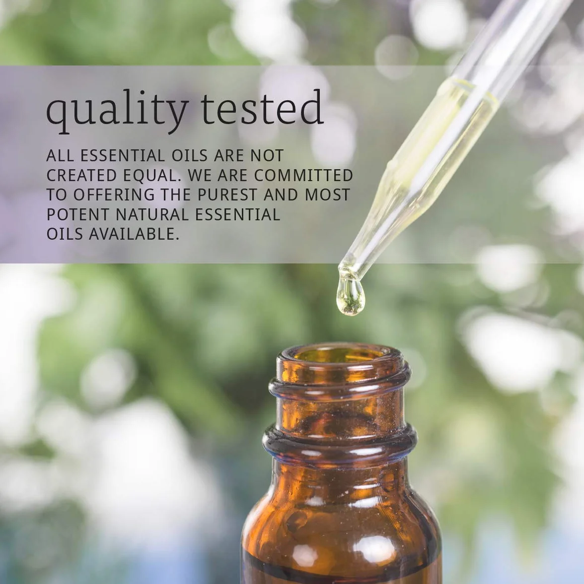 NOW Essential Oils, Eucalyptus Oil, oczyszczający zapach aromaterapeutyczny, destylowany parą wodną, wegański, nakrętka zabezpieczająca przed dziećmi, 30 ml