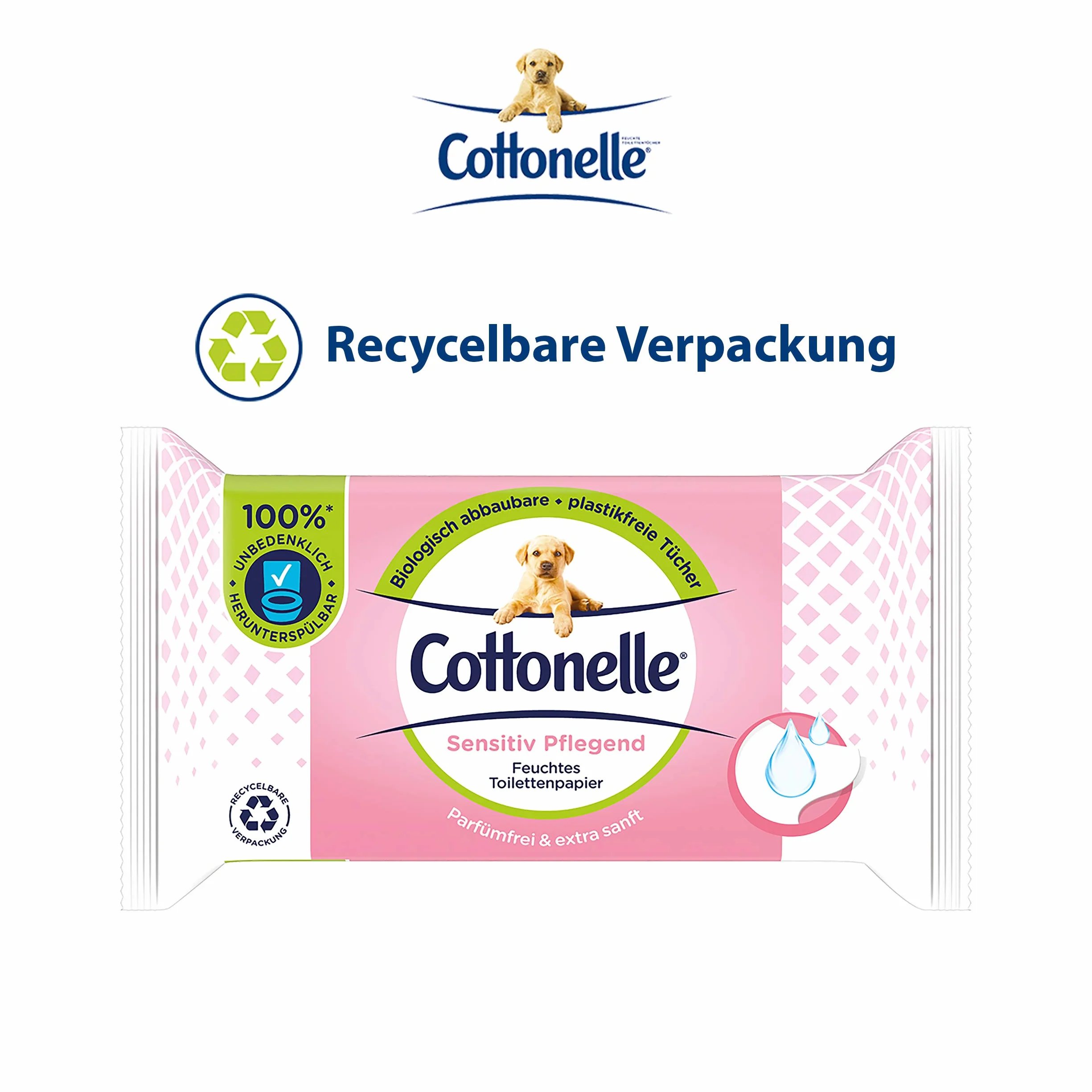 Cottonelle Wilgotny papier toaletowy, delikatny pielęgnacyjny – nie zawiera perfum, biodegradowalny, nie zawiera plastiku, możliwość ponownego zamknięcia, opakowanie ekonomiczne, 12 x 42 chusteczki