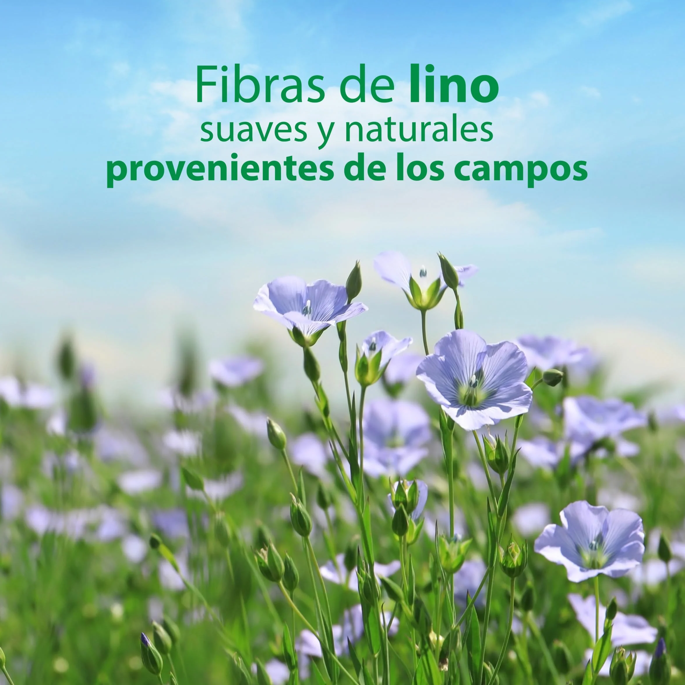 Colhogar Aloe papier toaletowy na mokro 8x80 640 chusteczek