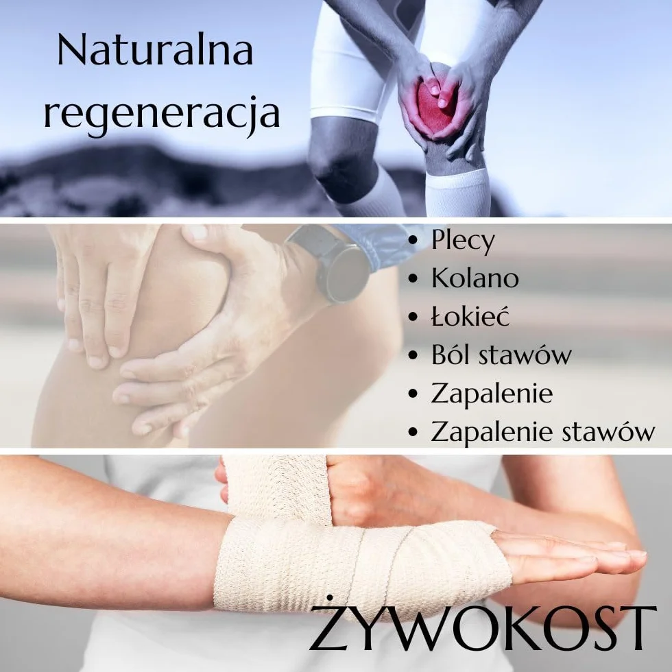Green Idea Żywokost lekarski żel do masażu 500 ml na bóle stawów, mięśni i artretyzm