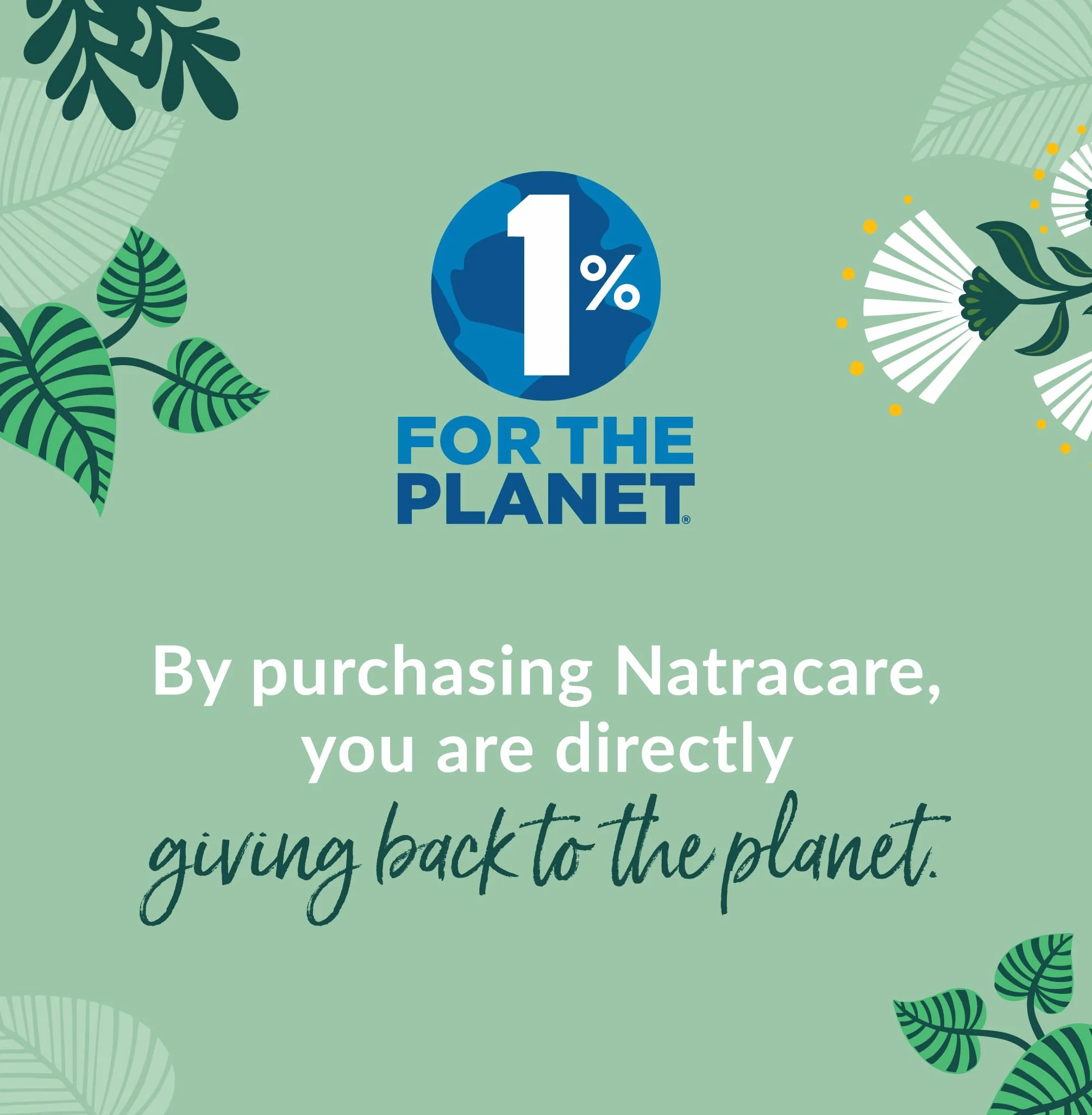 Natracare Organiczne i naturalne wkładki do majtek zakrzywione - 16 x opakowanie 30 sztuk (480 wkładek)