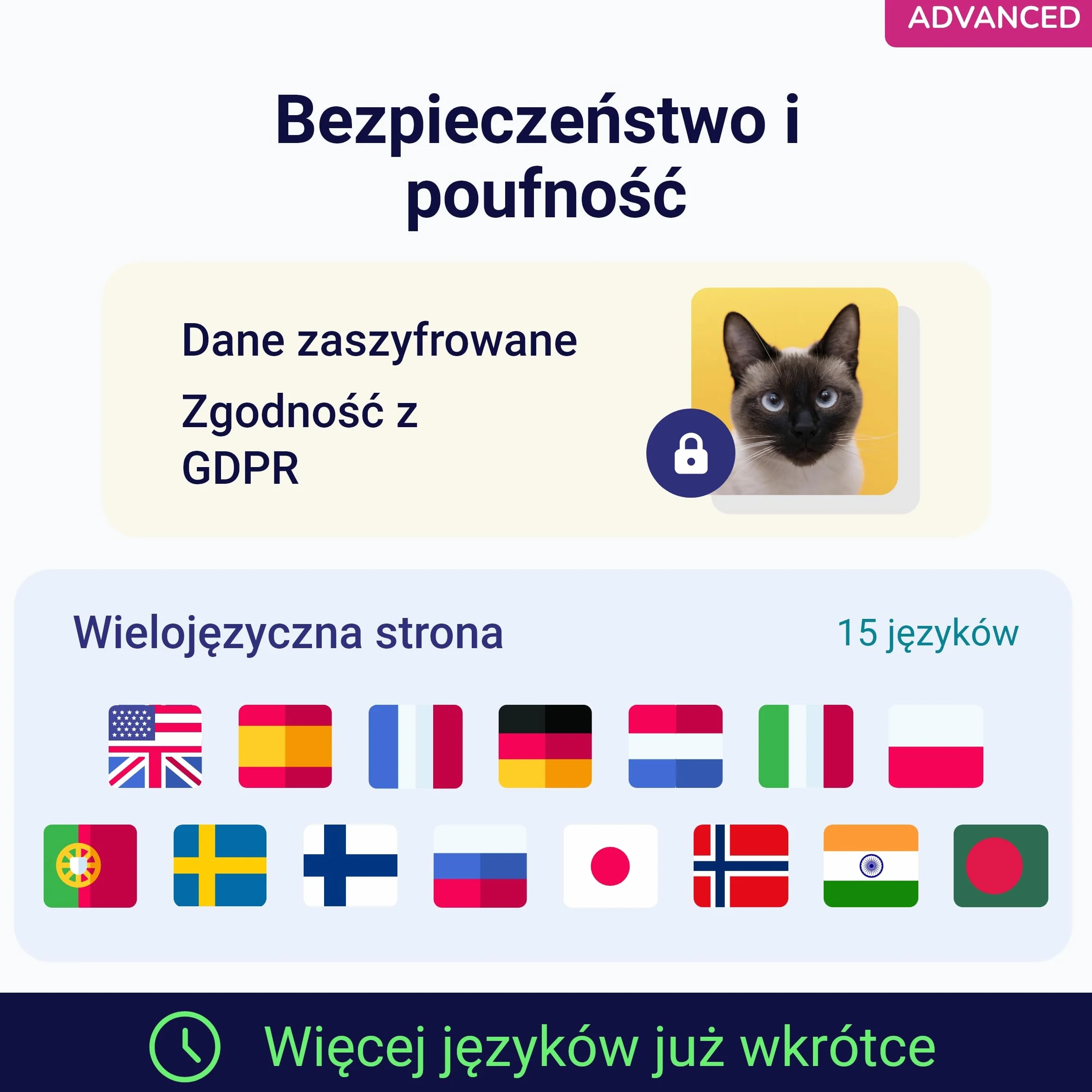 Test DNA dla Kotów Advanced Koko Genetics - 150 Raporty Ras, Zdrowotne i Cech