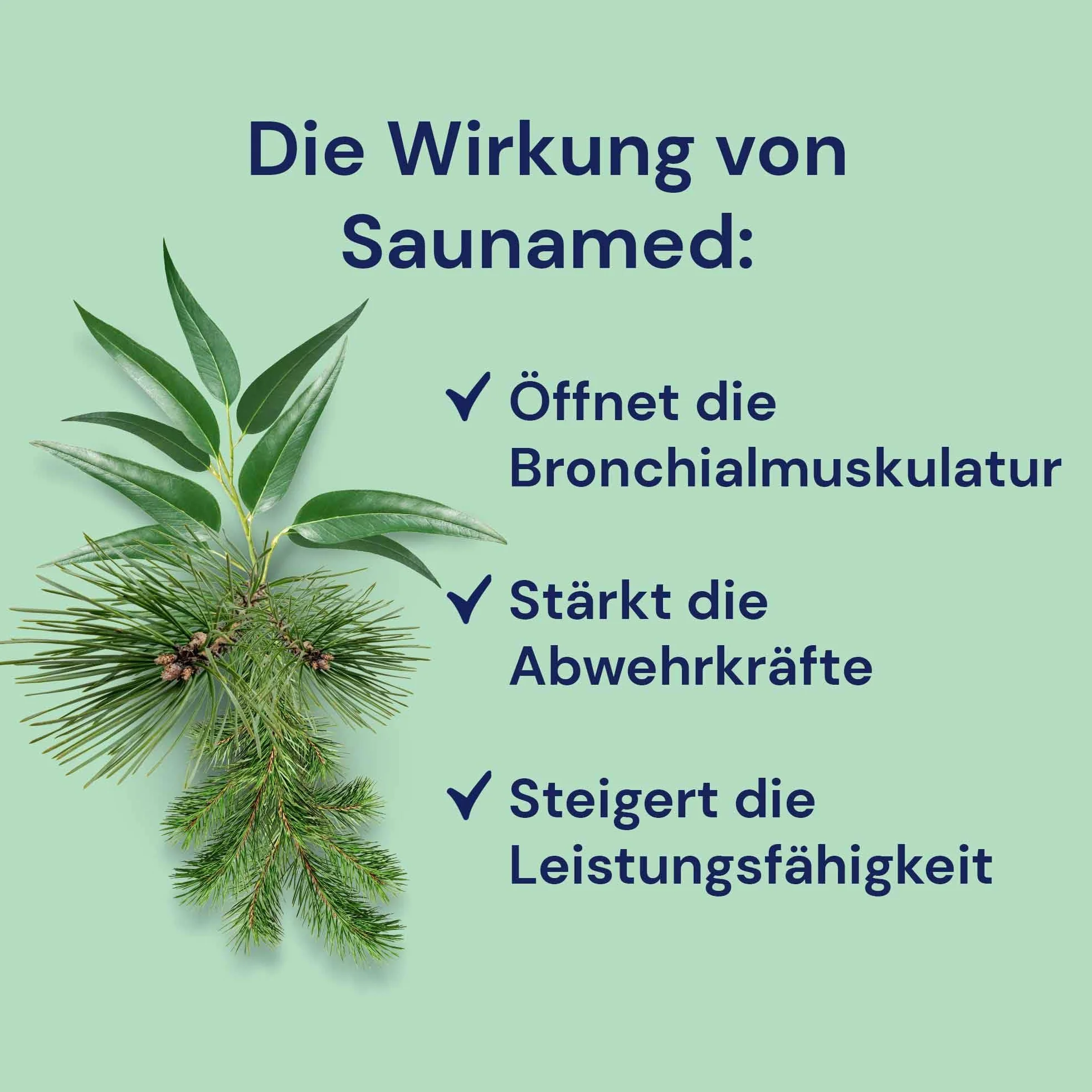 Spitzner Napar do sauny Saunamed 190 ml