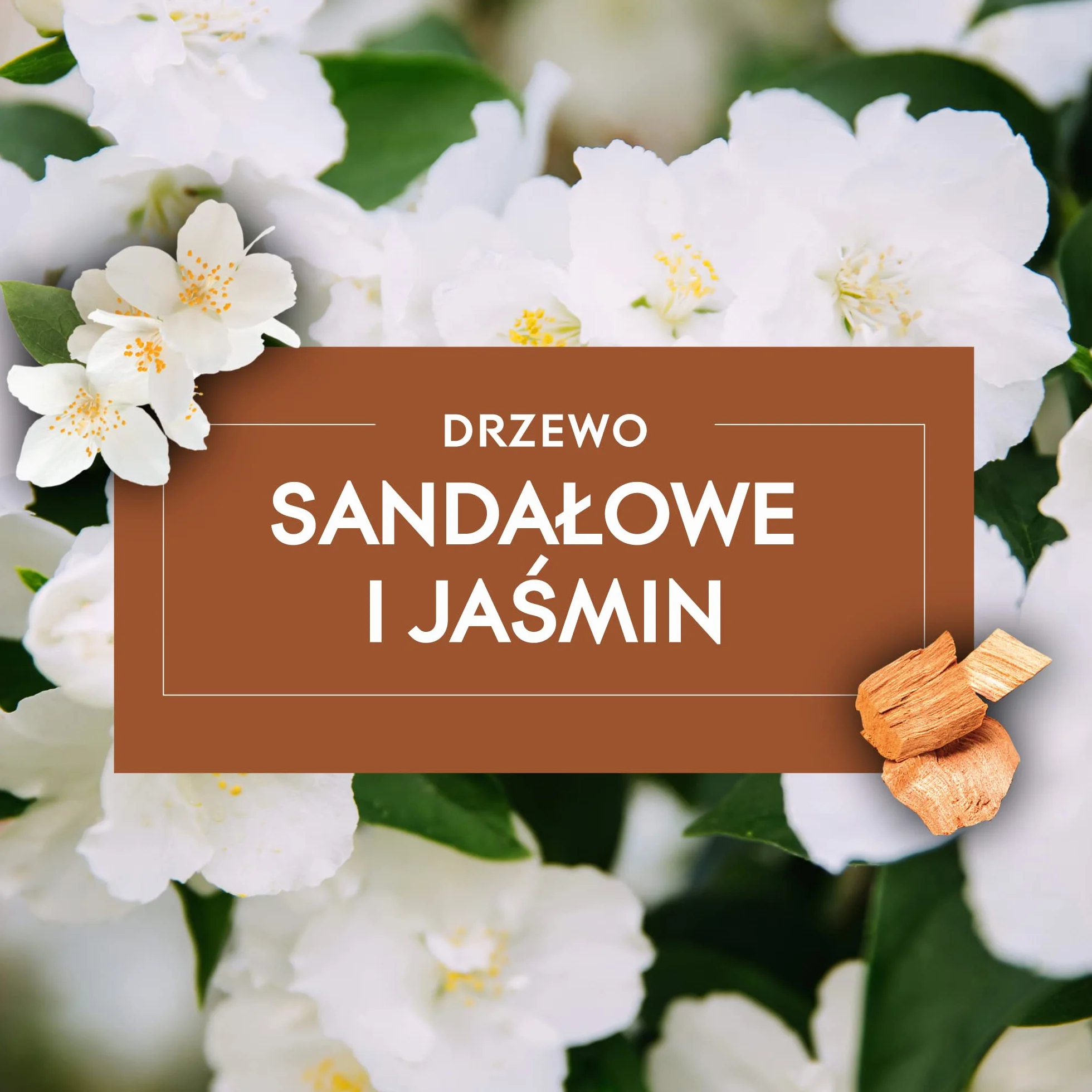 Glade Zapas do Elektrycznego Odświeżacza Powietrza, Electric Scented Oil o Zapachu Sensual Sandalwood & Jasmine, Długotrwały Zapach, 20 ml