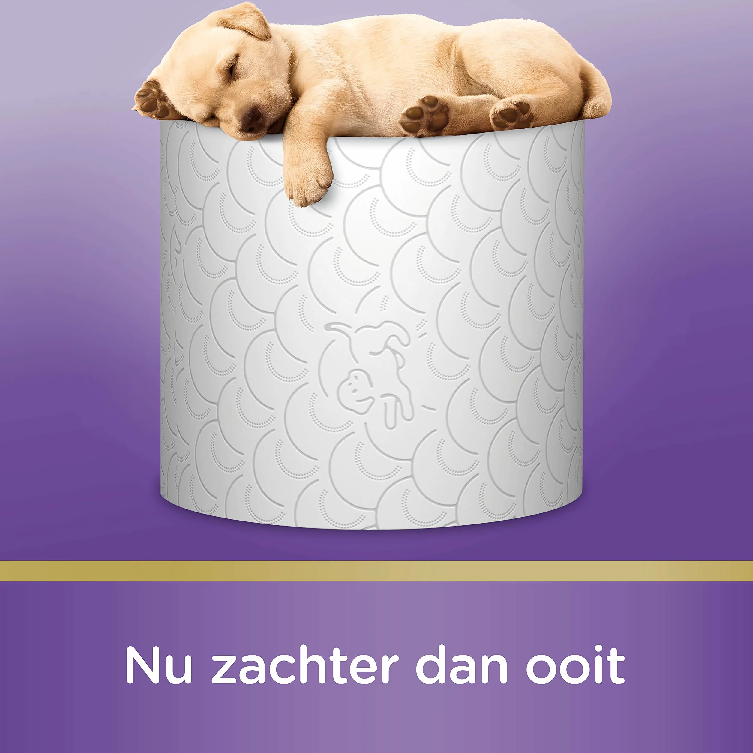 Scottex Biały papier toaletowy 18 rolek (1x18r)