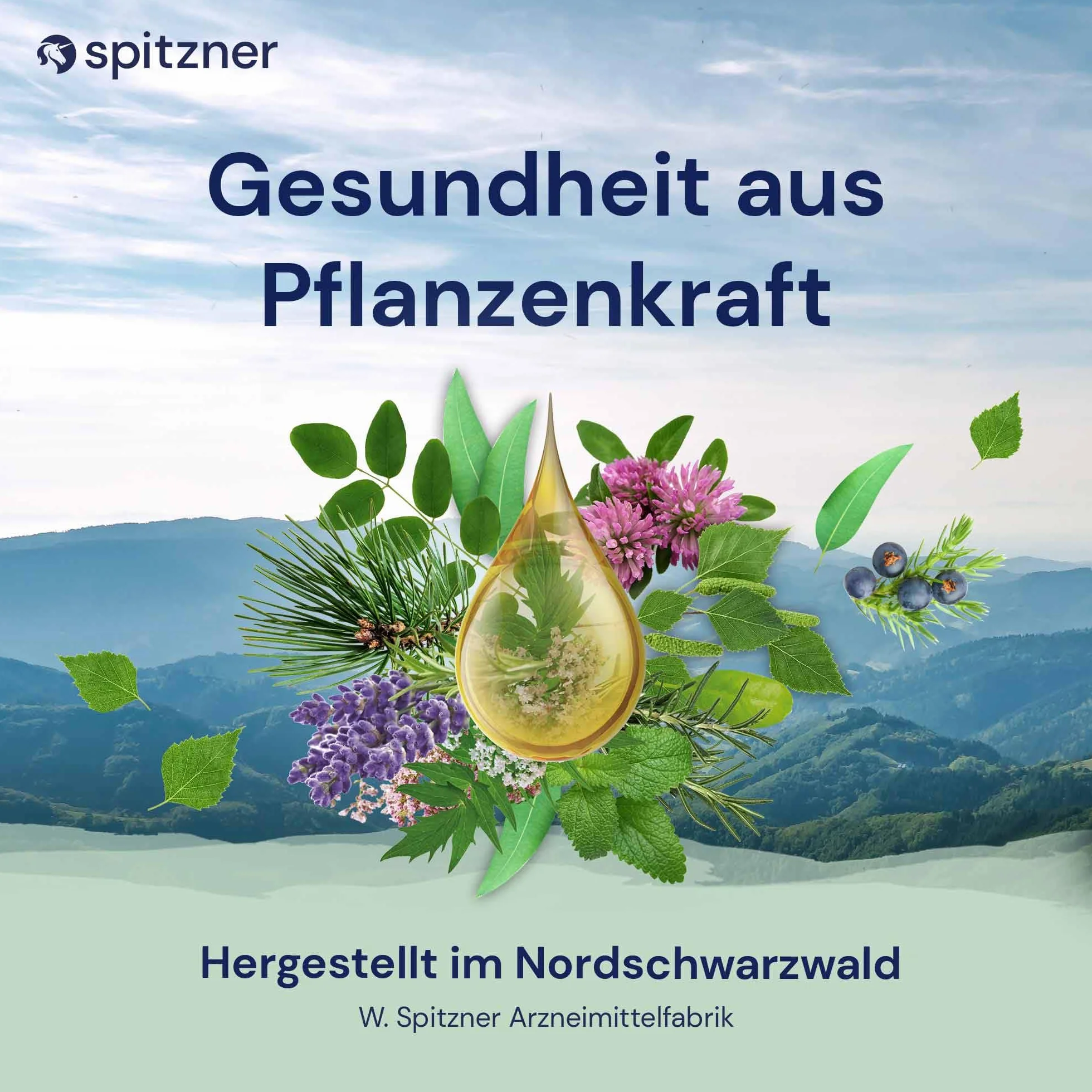 spitzner Napar do sauny, świeży i owocowy (3 x 190 ml) – sauna, naturalny olejek do sauny o aromatycznym zapachu mięty lodowej, mandarynki, czarnego bzu