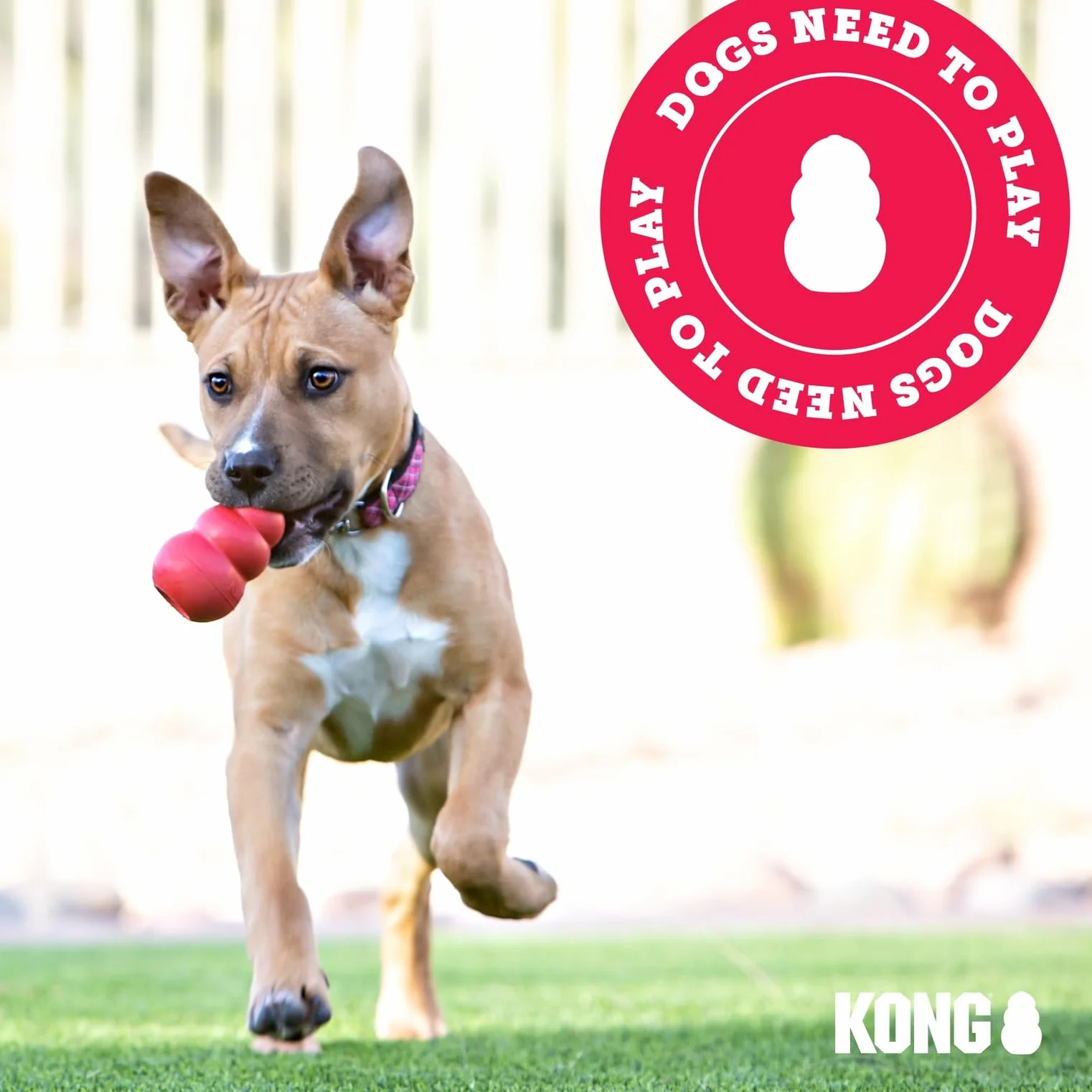 KONG Puppy Teething Stick – zabawka dla psów do żucia i czyszczenia zębów (różne kolory) – dla małych szczeniaków