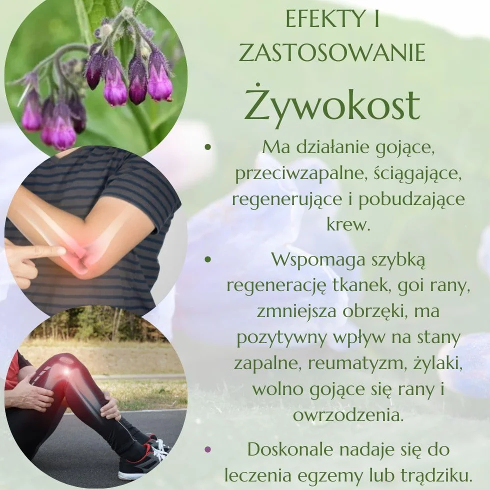 Green Idea Żywokost lekarski żel do masażu 500 ml na bóle stawów, mięśni i artretyzm