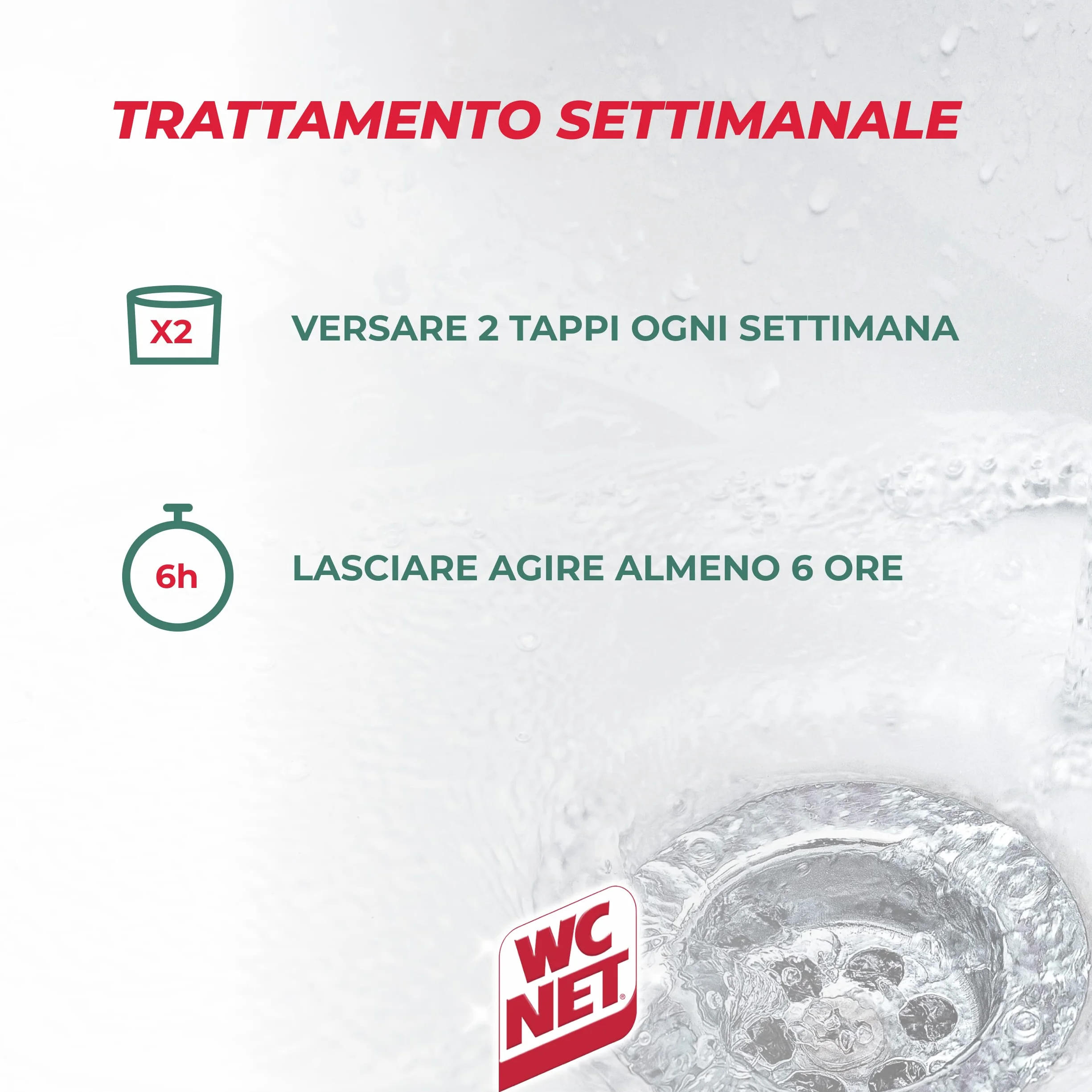 WC Net – Wprowadzenia domu, leczenie przewodów rurowych, zapach sosny – 1 l (1 opakowanie)