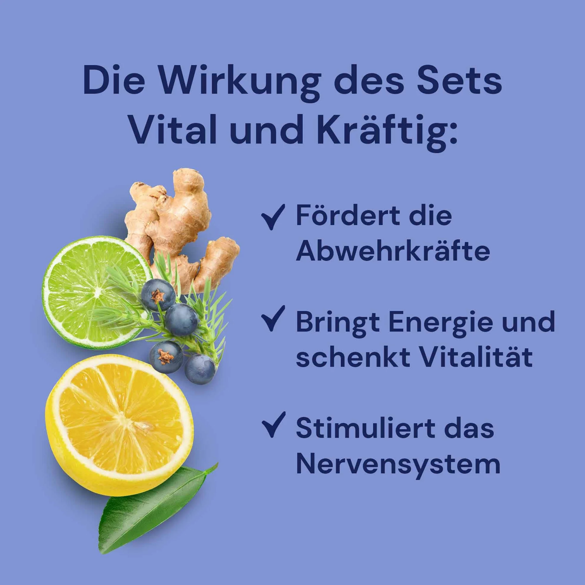 Spitzner Zestaw do zaparzania sauny Vital & Mocny 3 x 190 ml naturalny olejek grejpfrut jałowiec limonka imbirowa