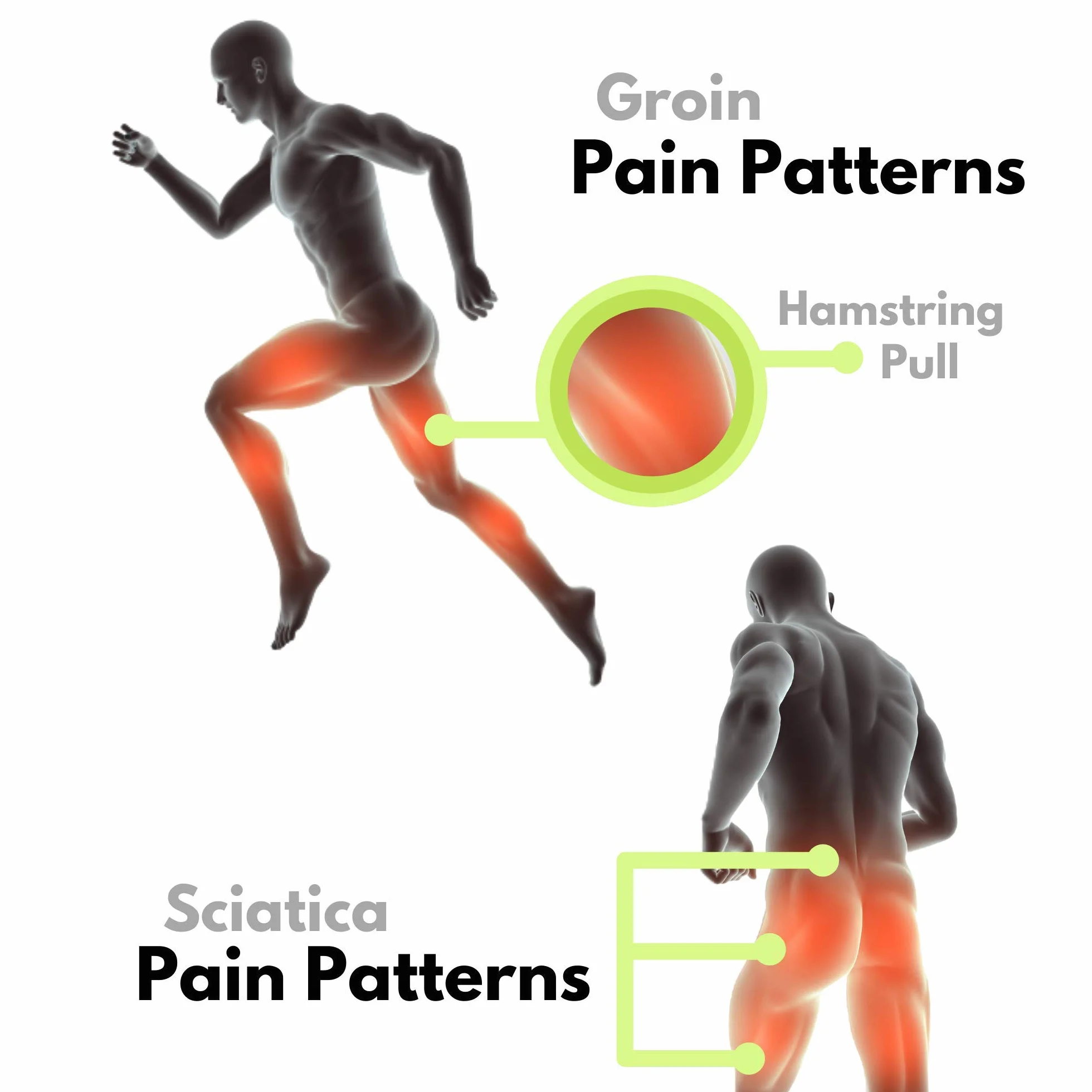 Bodyprox Groin Wrap, regulowane wsparcie dla bólu bioder, uchwytu, ścięgna, uda i nerwu kulszowego