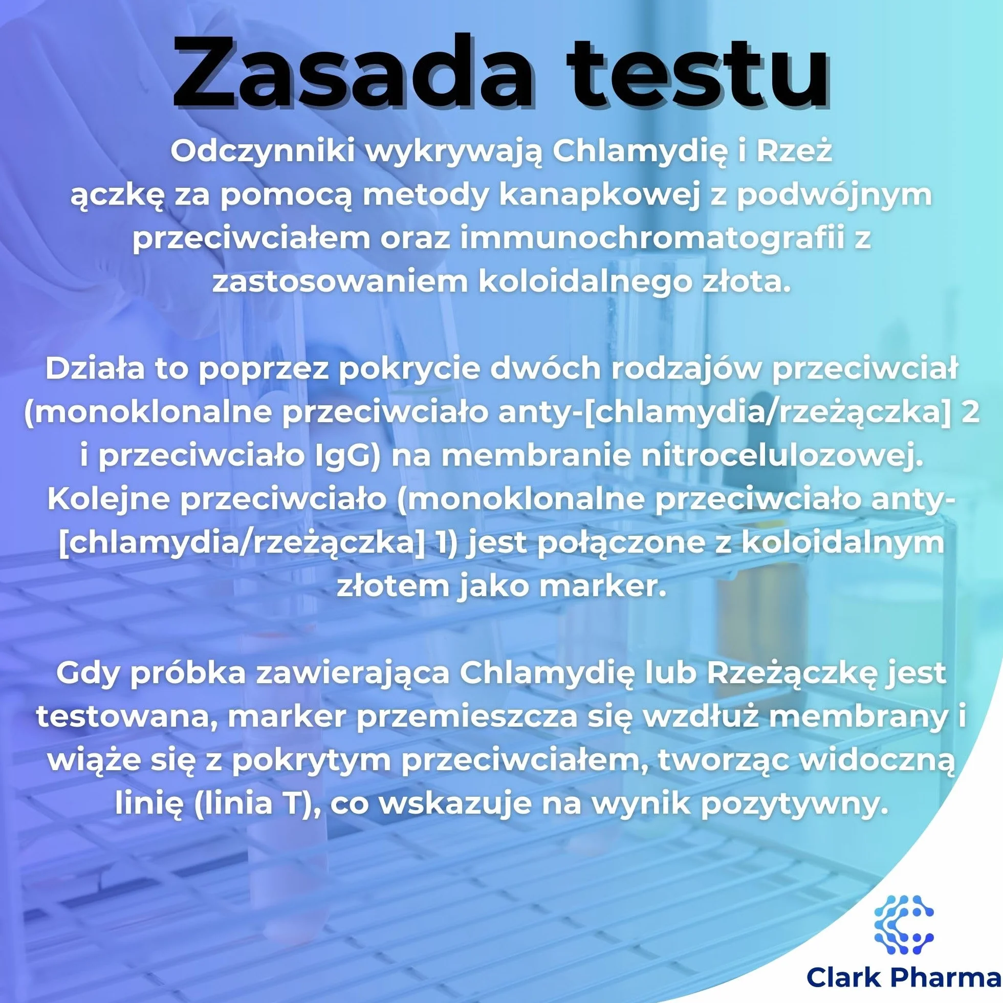 Zestaw do samodzielnego testowania chlamydii i rzeżączki | Testy na chlamydię i rzeżączkę za pomocą testu wymazu | Choroba przenoszona drogą płciową Szybki test domowy STD STI (Chlamydia i rzeżączka)