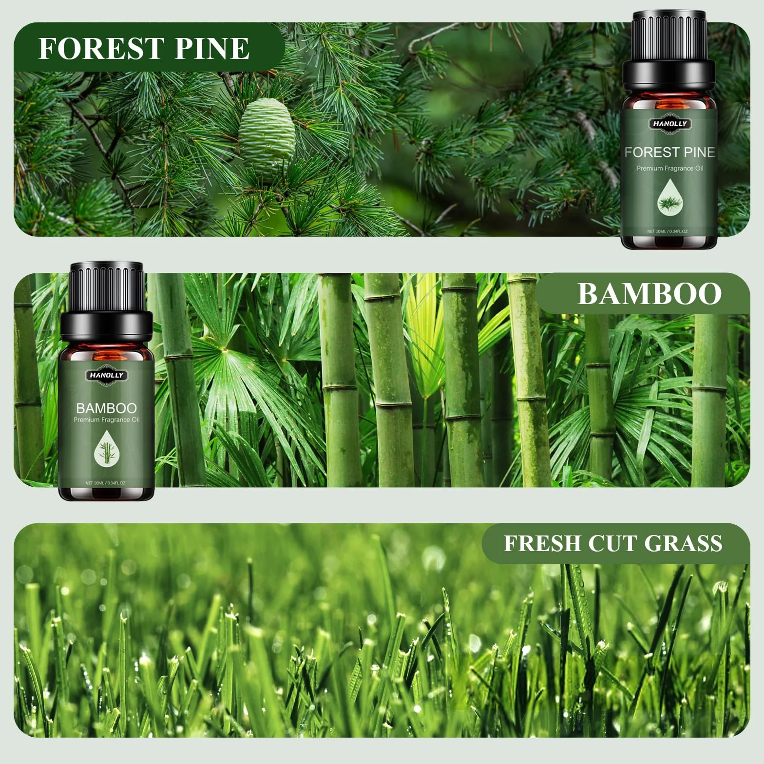 Hanolly 6 x 10 ml Zestaw Naturalnych Olejków Eterycznych Do Dyfuzorów I Wyrobu Świec – Drzewo Sandałowe I Róża, Bambus, Deszcz, Lawenda I Rumianek, Świeżo Skoszona Trawa, Sosna Zwyczajna