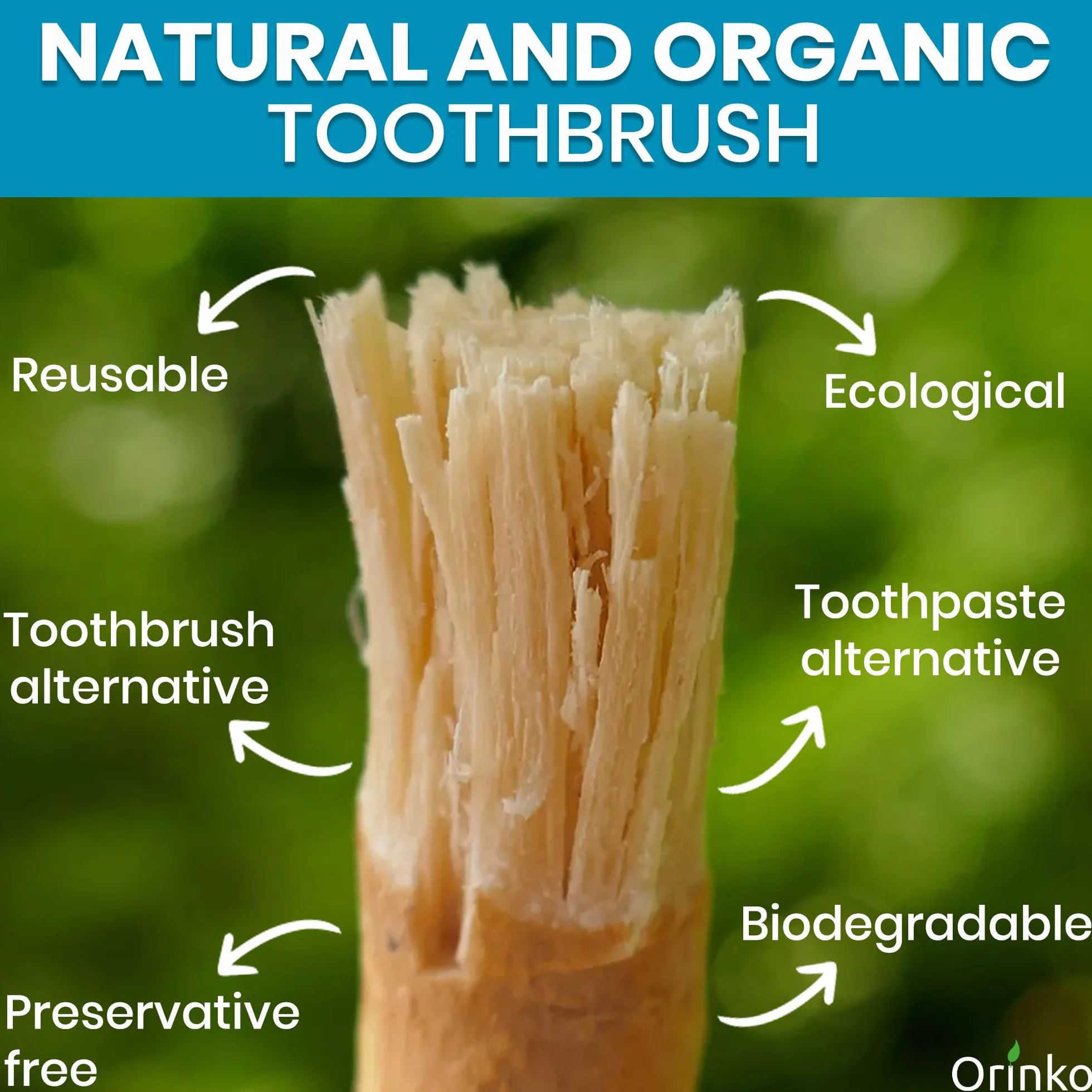 Siwak x2 z etui ochronnym kij Miswak 100% naturalne drewno Araq (Salvadora Persica) Ekologiczny środek czyszczący, dezynfekujący i wybielający, biodegradowalny i wegański