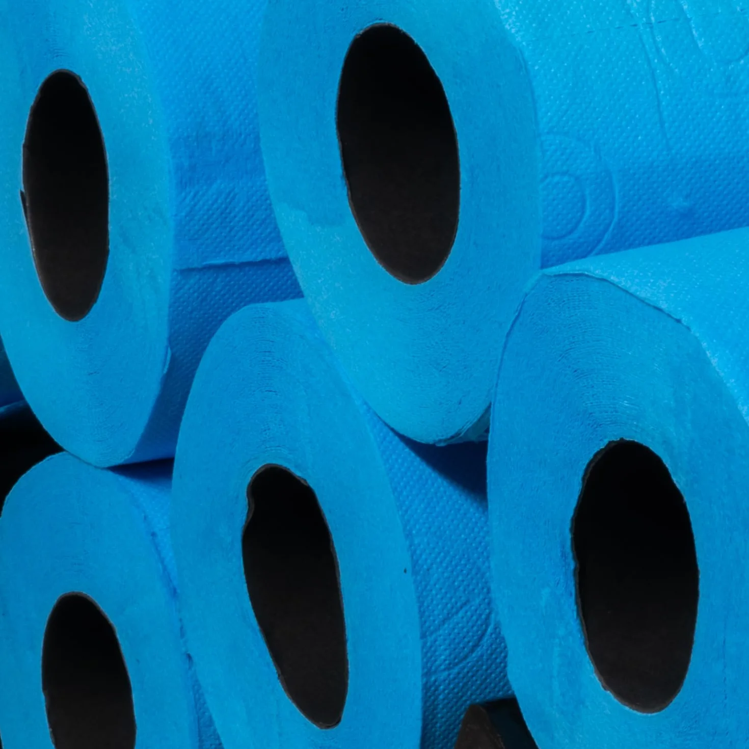 Renova Blue Toilet Paper 6 rolek