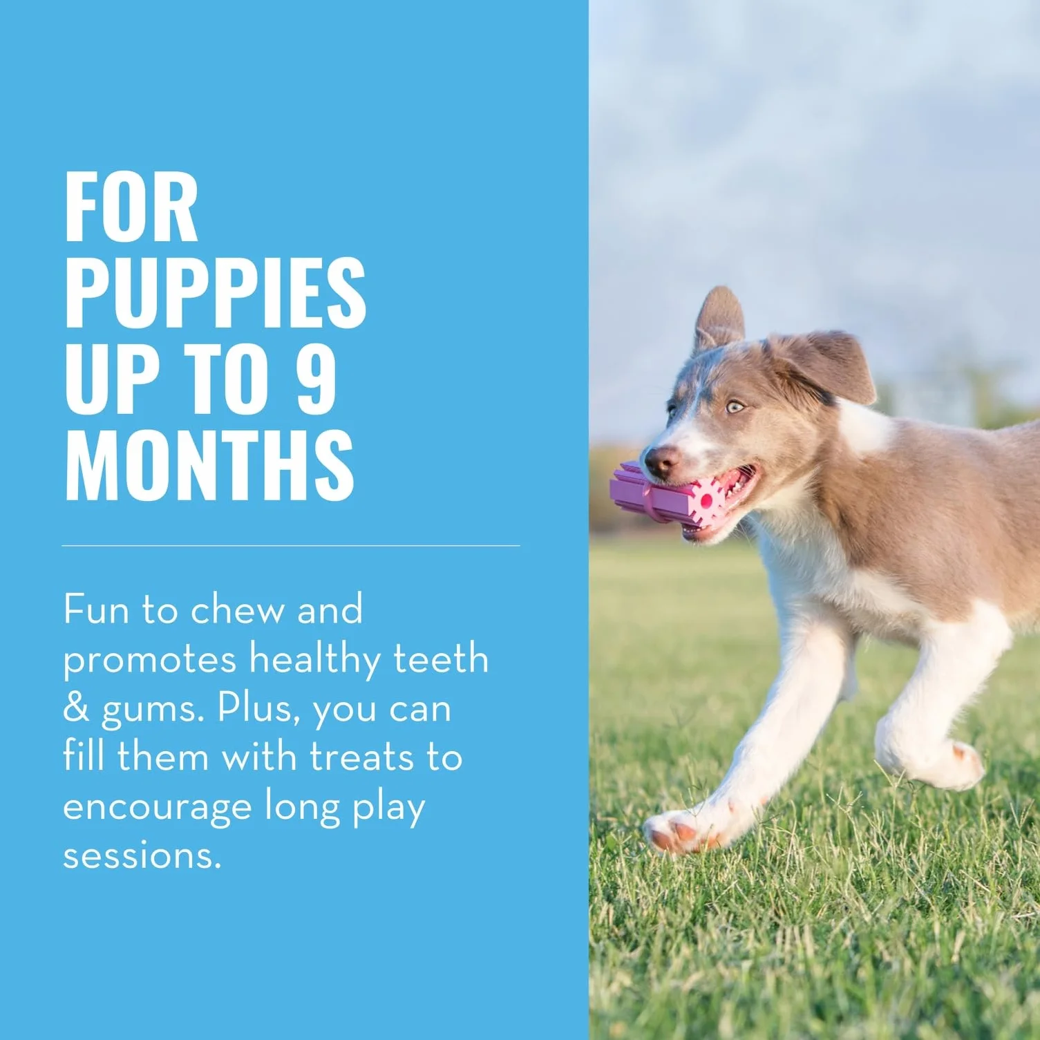 KONG Puppy Teething Stick – zabawka dla psów do żucia i czyszczenia zębów (różne kolory) – dla małych szczeniaków