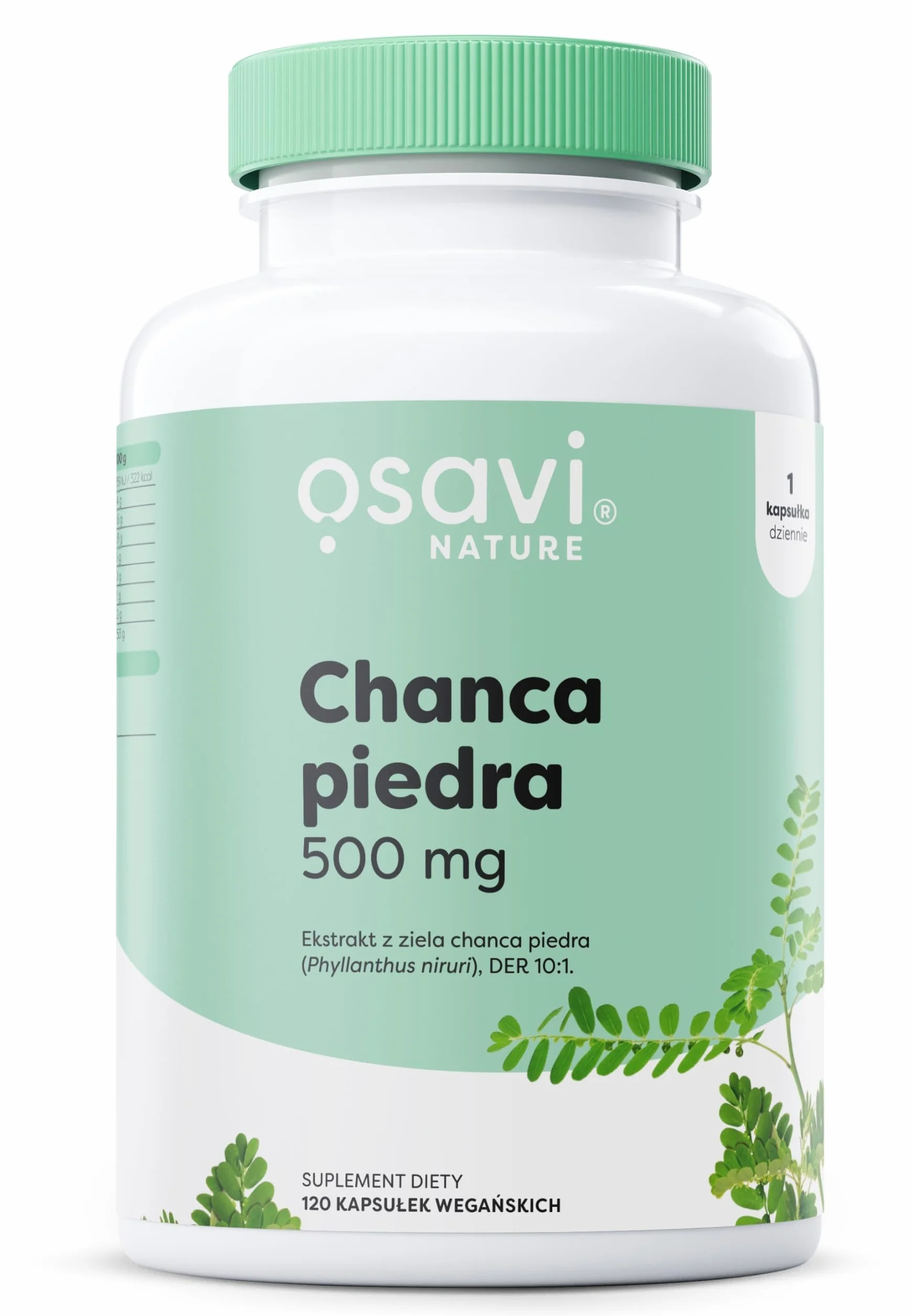 Osavi Chanca Piedra – 120 wegańskich kapsułek | Tradycyjna roślina | Ekstrakt z ziela chanca piedra | 500 mg ekstraktu w jednej kapsułce z 5000 mg Phyllanthus niruri | Clean Label | Dla Wegan