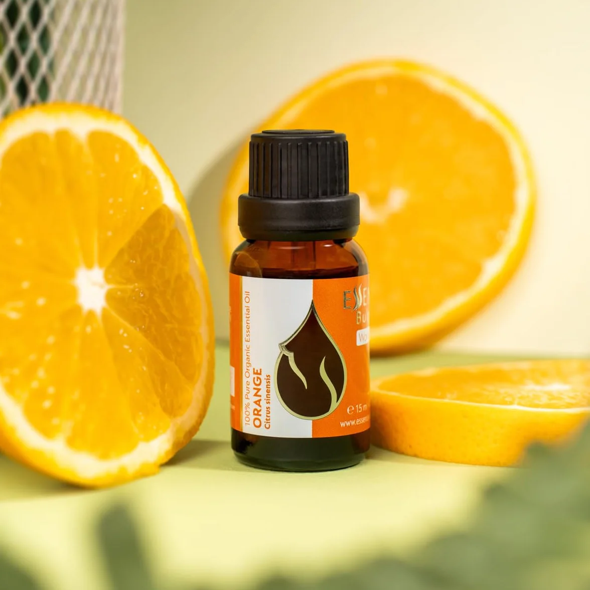 Essences Bułgaria Organiczny Olejek Eteryczny z Pomarańczy 50 ml | Citrus sinensis | 100% Czysty i Naturalny | Nierozcieńczony | Klasa Terapeutyczna | Aromaterapia | Kosmetyki | Bez okrucieństwa