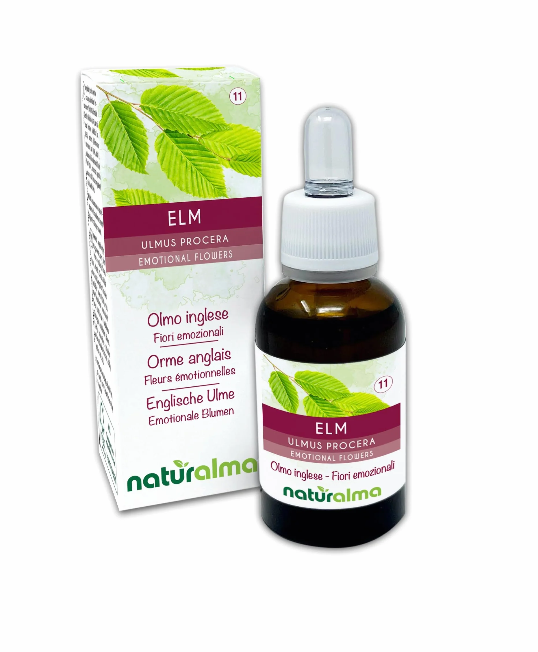Elm lub Wiąz angielski (Ulmus procera) Kwiaty emocji lub Kwiaty Bacha Naturalma - Krople 30 ml - Płynny ekstrakt bezalkoholowy - Esencje kwiatowe - Wegański