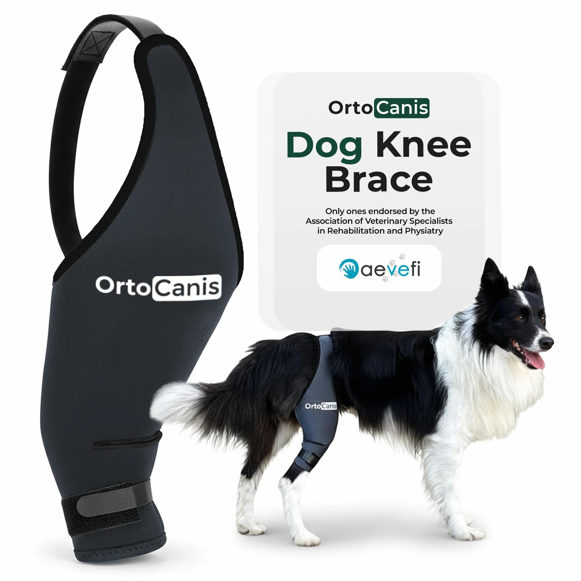 Ortocanis Ochraniacz na kolana dla psa neopren ARD rozmiar XL 37-41 cm