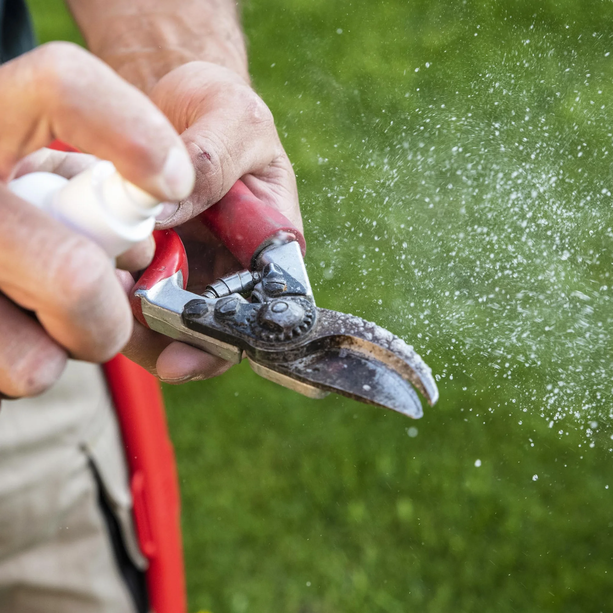 FELCO Spray do usuwania żywicy roślinnej model 981 bezpiecznie czyści usuwa żywicę roślinną 110 ml zastosowanie ze wszystkimi narzędziami ogrodniczymi sekatorskimi rośliny ogrodowe ogrodnictwo