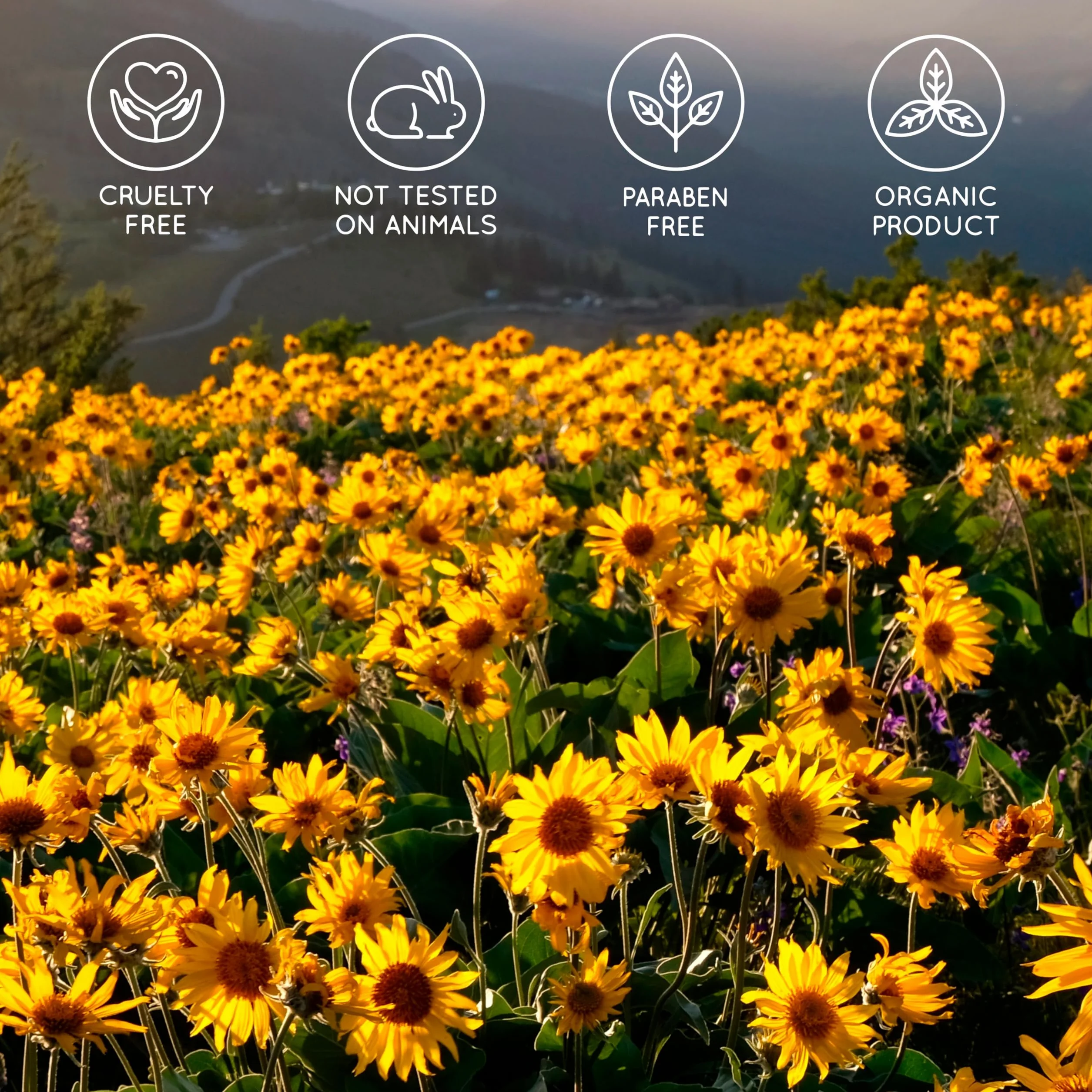 Arnica Mocny żel i koncentrat 90% organicznego ekstraktu z arniki ekologicznej. Żel do masażu mięśni i stawów. Nawilżający skórę - 3 x 200 ml