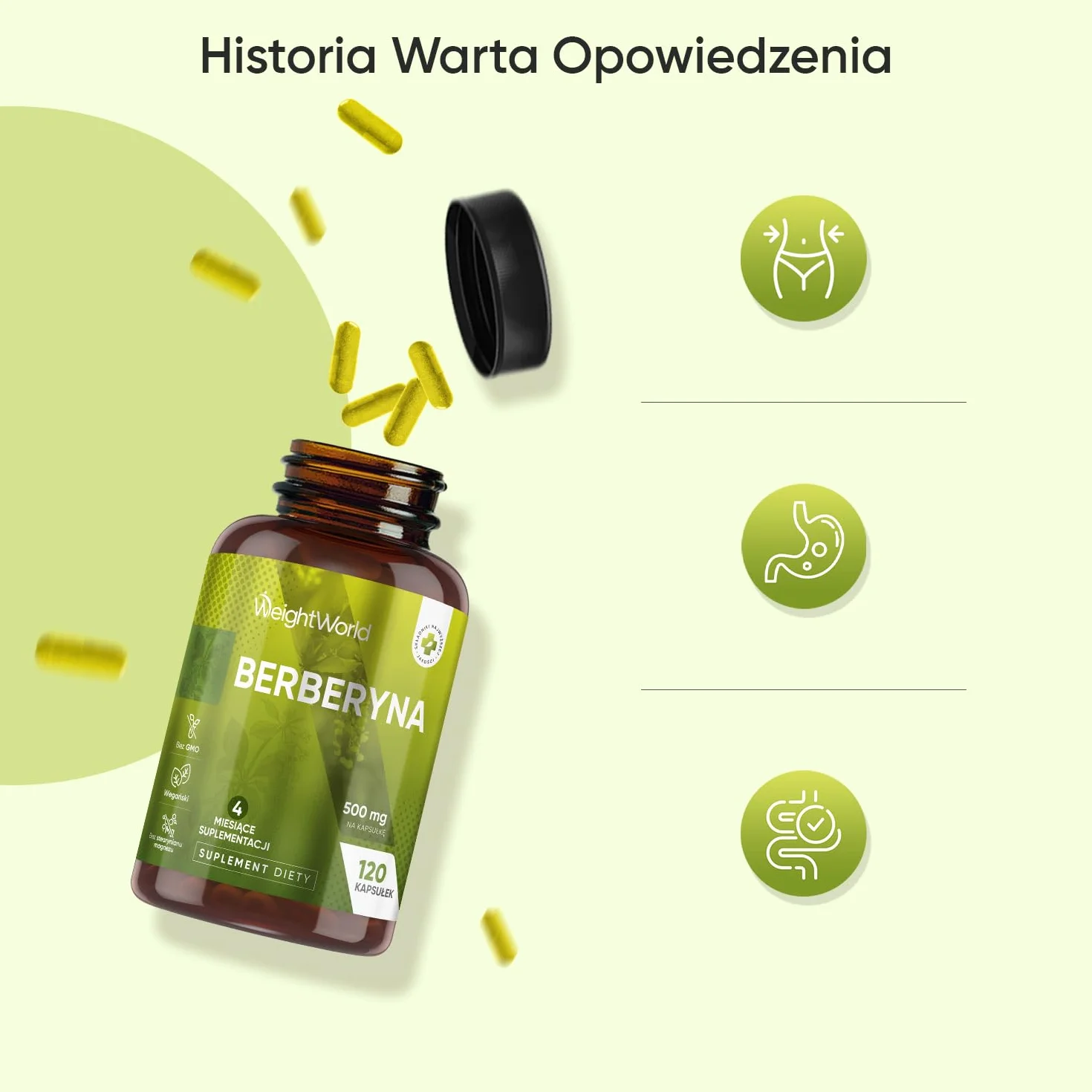 Berberyna 500 mg, opakowanie 120 kapsułek, zaopatrzenie na 4 miesiące – suplement berberyny odpowiedni dla wegan, bez alergenów, bezglutenowy oraz bez GMO, tylko raz dziennie
