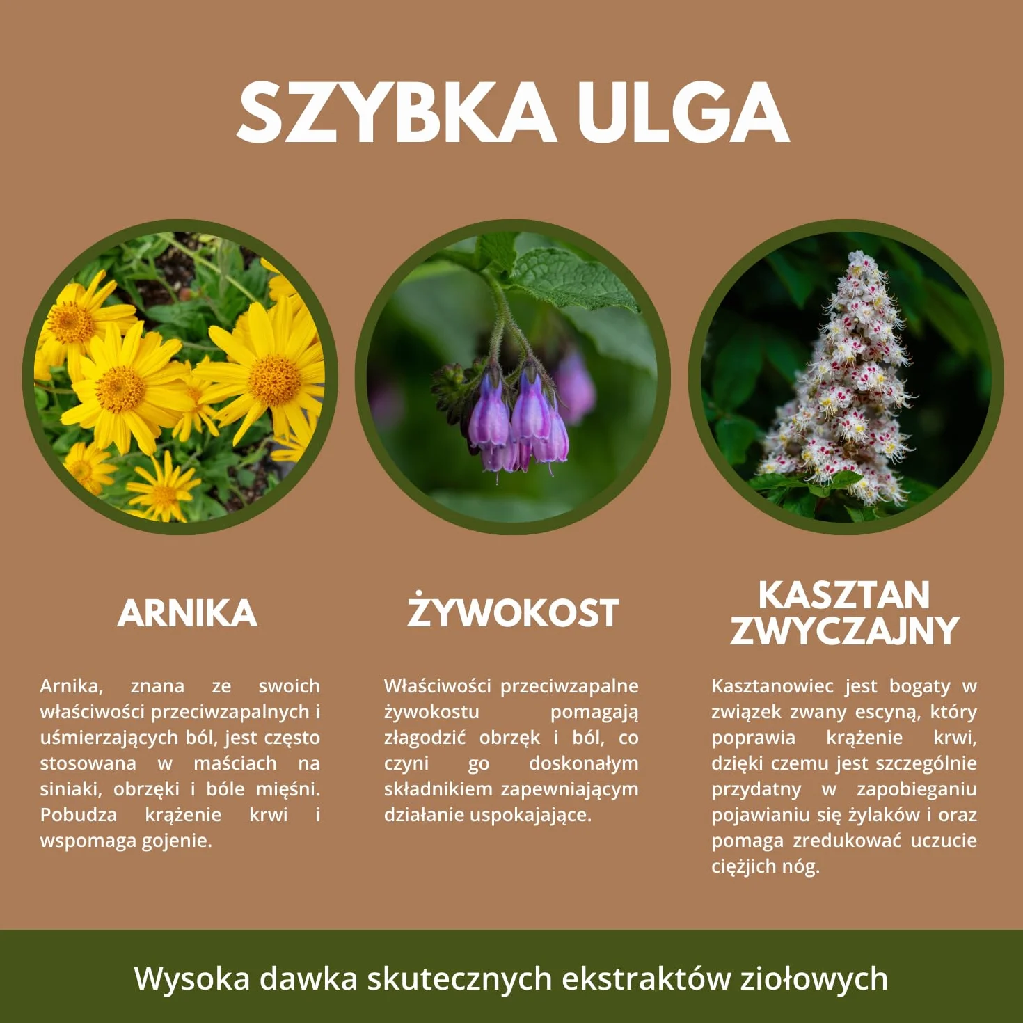 Refit Maść Końska Extra Mocna HOT XXL 500 ml – Silnie Rozgrzewająca maść z Arniką, Żel Przeciwbólowy, Arnika, Skuteczny Żel na Bóle, Natychmiastowe i Długotrwałe Działanie, Plecy, Mięśnie i Stawy