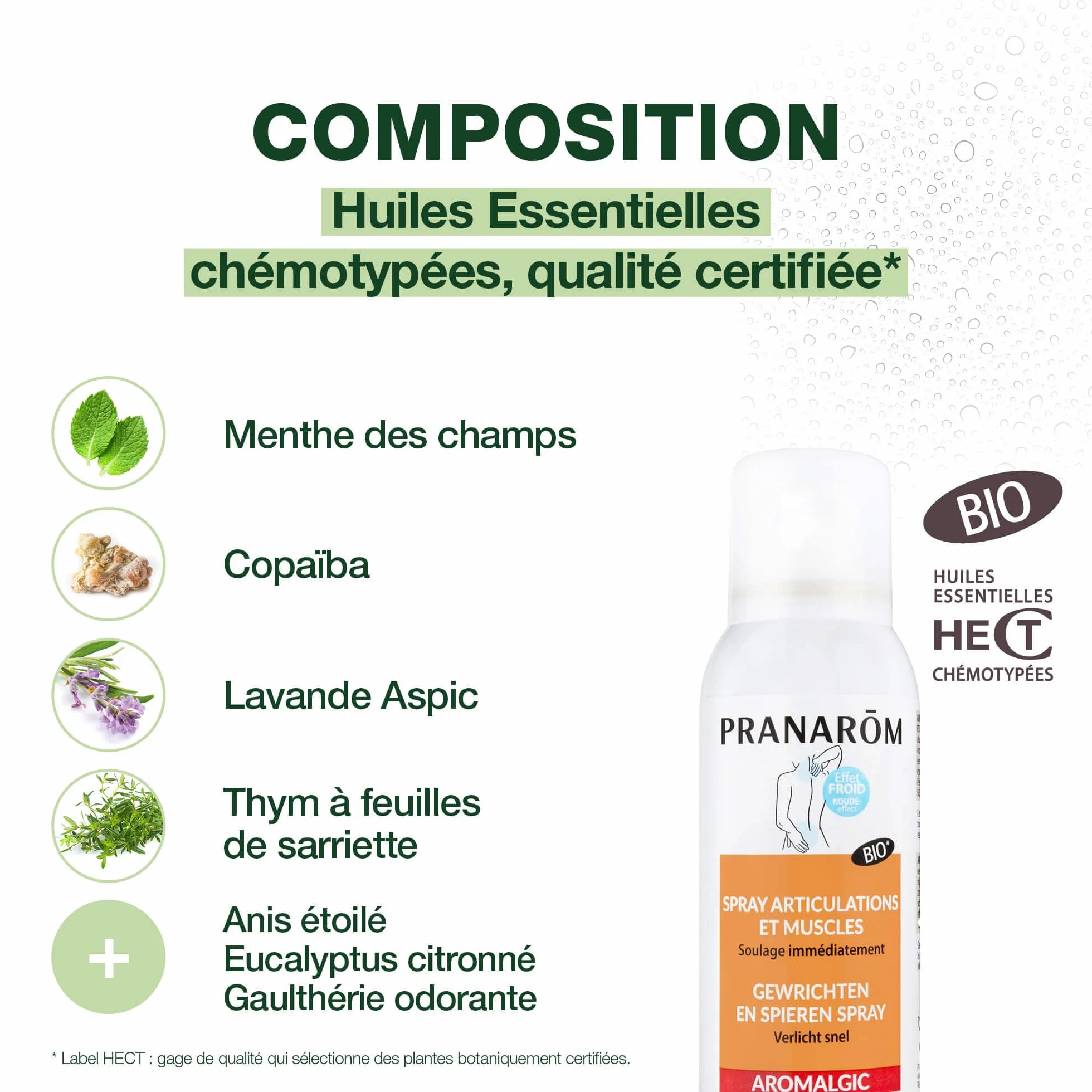 PRANAROM Aromalgic Spray Stawy i mięśnie 75 ml olejki eteryczne Bio HECT