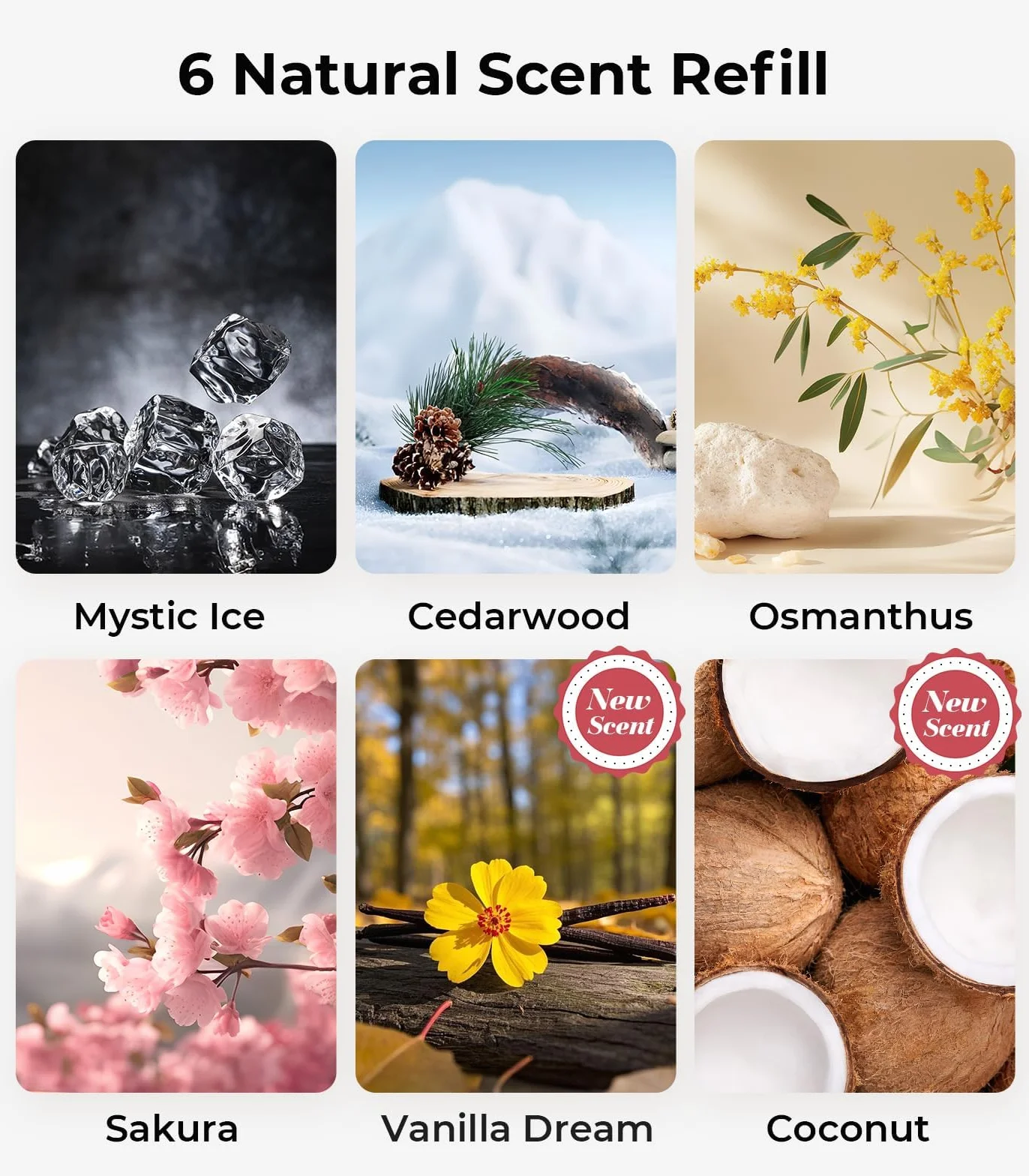 Wkład do Odświeżacza Samochodowego – 50 ml Francuskie Perfumy – Do 6 Miesięcy – Naturalne Ekstrakty Roślinne – Kompatybilny z Dyfuzorem Samochodowym
