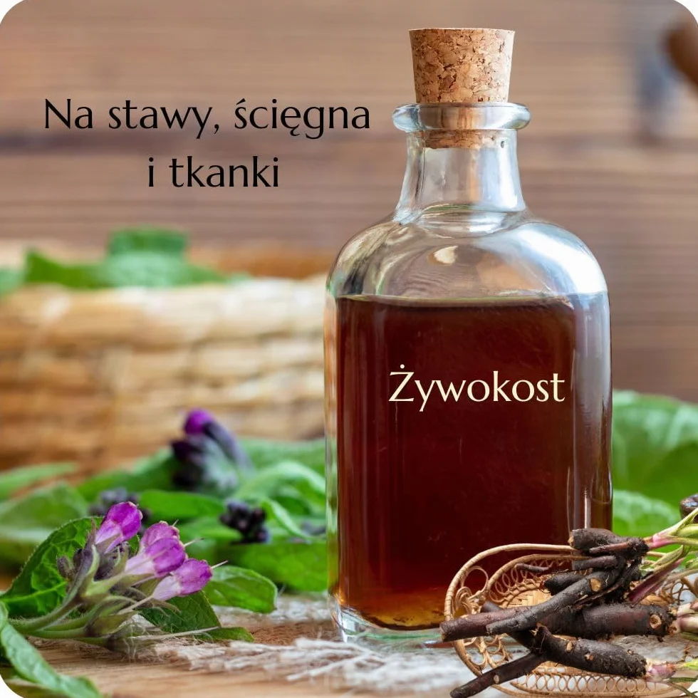 Green Idea Żywokost lekarski żel do masażu 500 ml na bóle stawów, mięśni i artretyzm