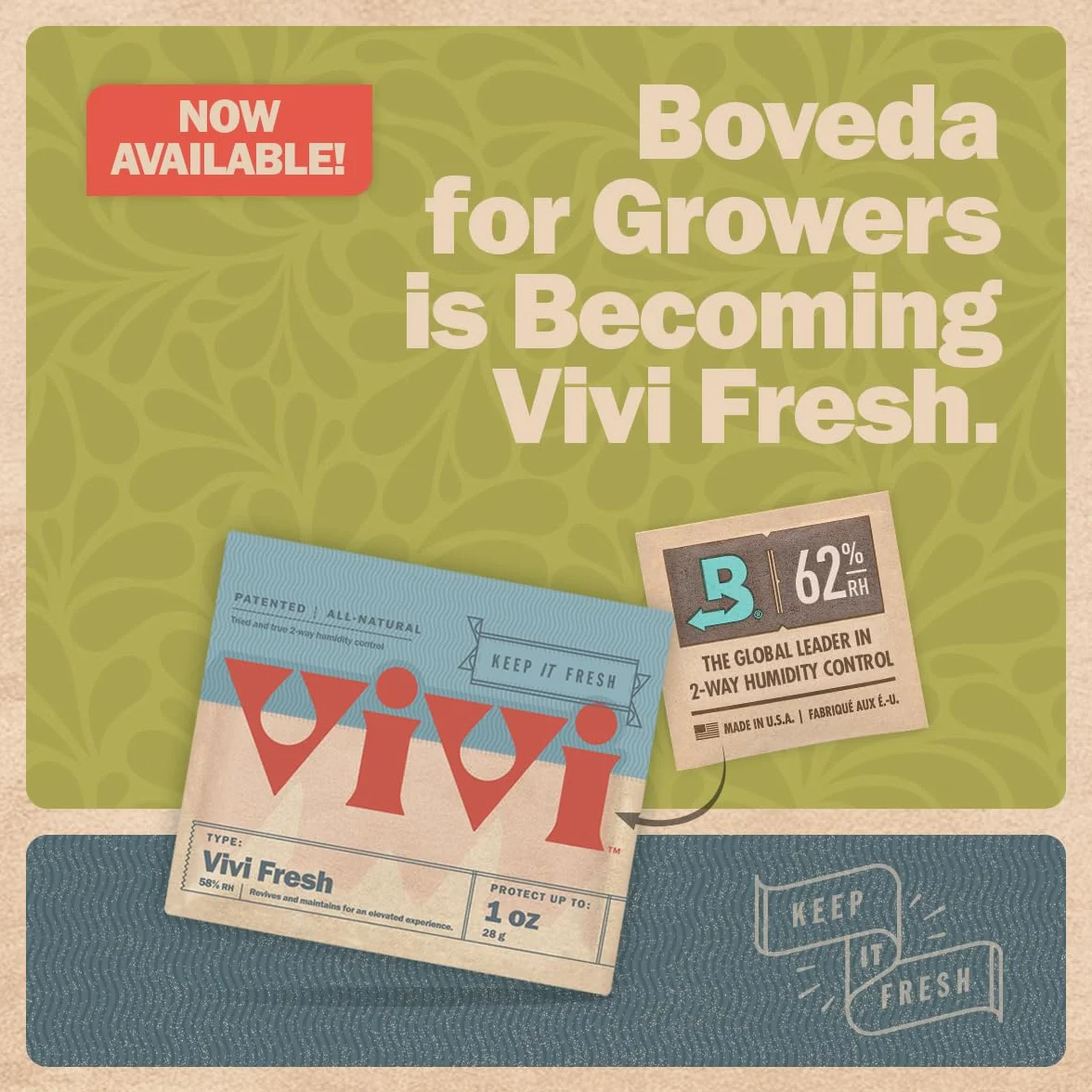 Boveda 58% Two-Way Humidity Control Packs For Storing 1 lb – Size 67 – 4 Pack – Moisture Absorbers for Storage Containers – Humidifier Packs – Hydration Packets in Resealable Bag
