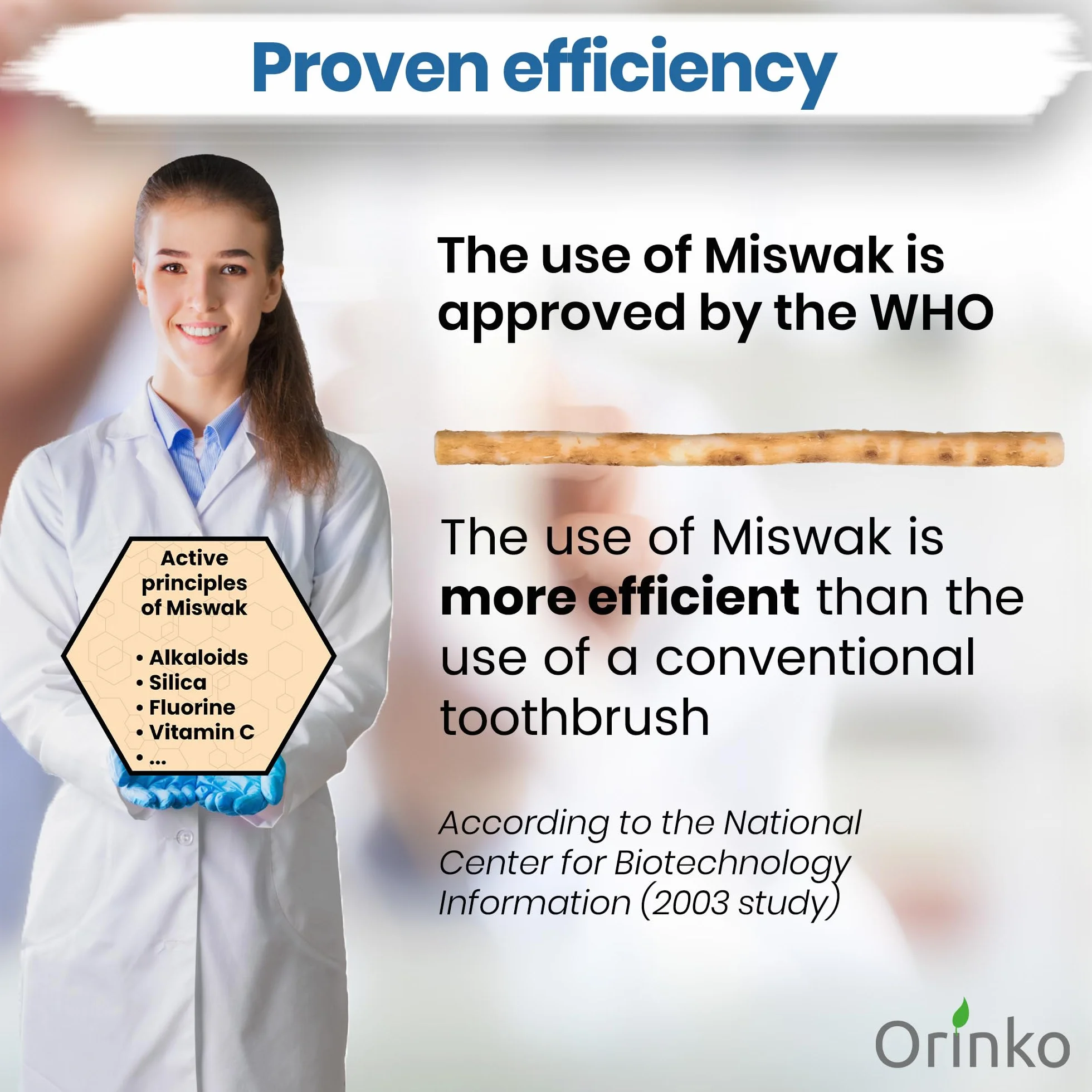 ORINKO Siwak x5, drewniany kij Miswak Araq (Salvadora Persica), naturalna szczoteczka do zębów, oczyszczanie, dezynfekcja, wybielanie, ekologiczna, biodegradowalna i wegańska