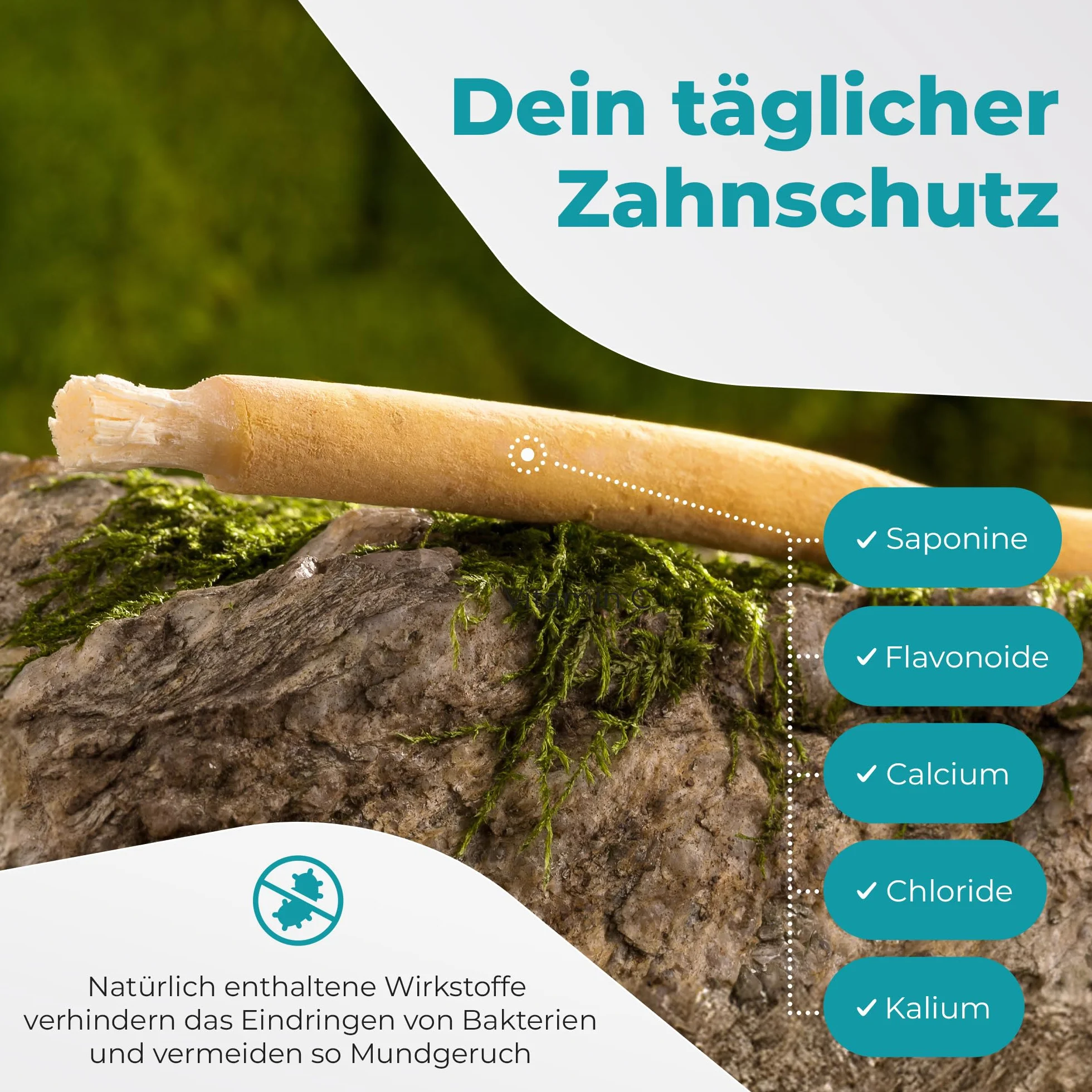 Miswak Szczoteczka do zębów firmy Blissany - Siwak SWAK, tradycyjna arabska szczoteczka do zębów, drewniana szczoteczka do zębów, do naturalnych białych zębów, 5 szt