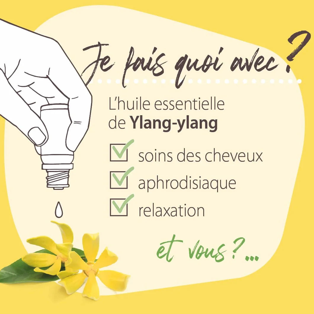 Pranarôm Les Diffusables Bien Chez Soi mieszanka olejków eterycznych do dyfuzora Cocooning Ylang-Ylang i Organiczna róża damasceńska 30 ml