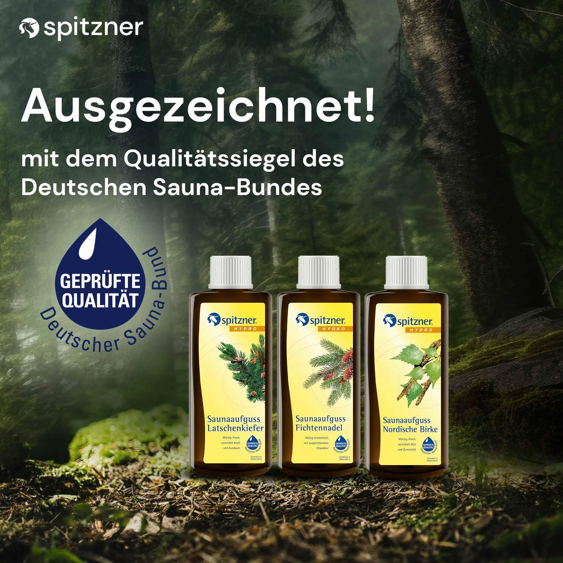 Zestaw naparów do sauny Spitzner Zapach lasu (3 x 190ml)
