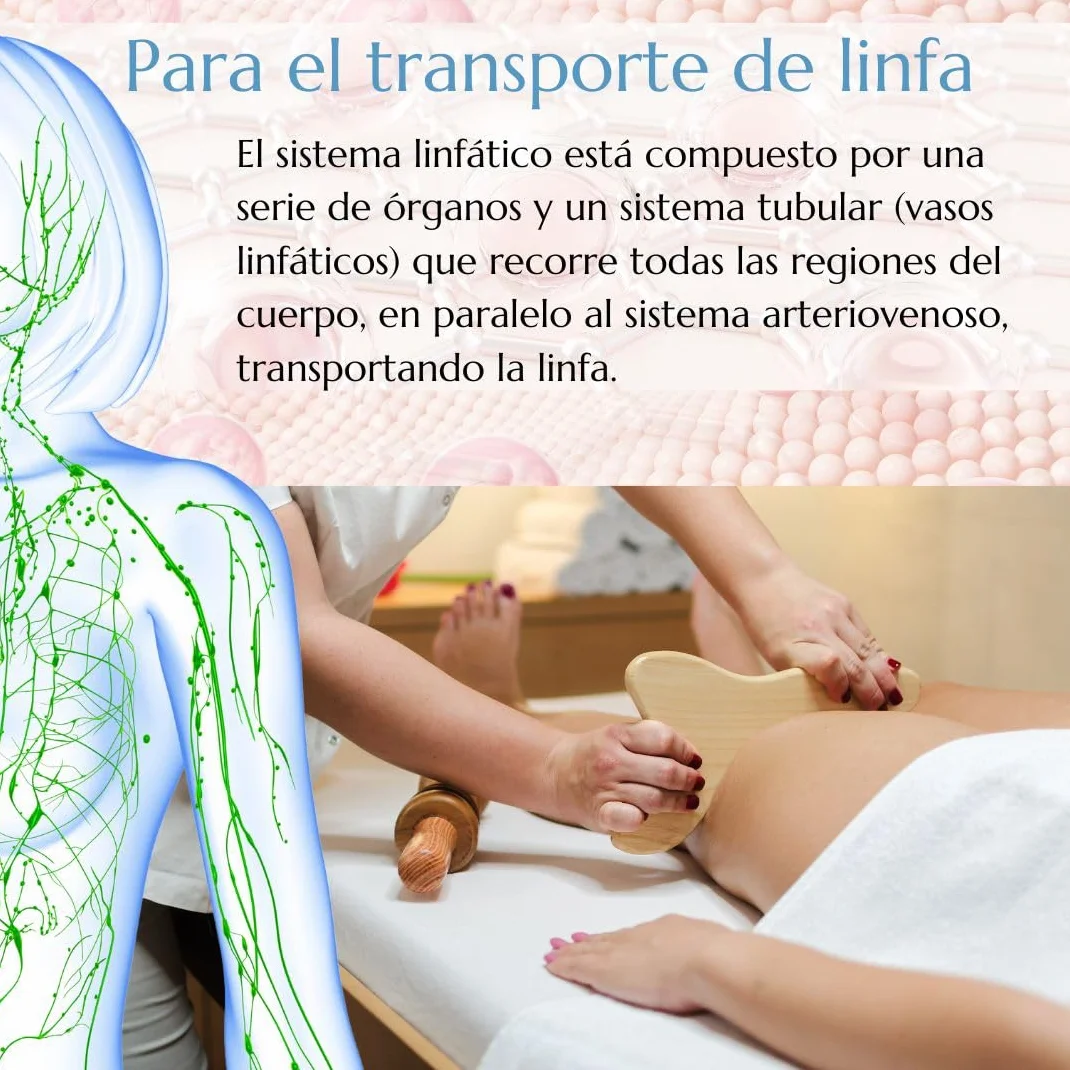 Green idea - Żel Lymforegen – drenaż limfatyczny i odwadniający – stymuluje układ limfatyczny 15 ziołami i olejkami eterycznymi – maść drenażowa – aktywna formuła ziołowa 200 ml