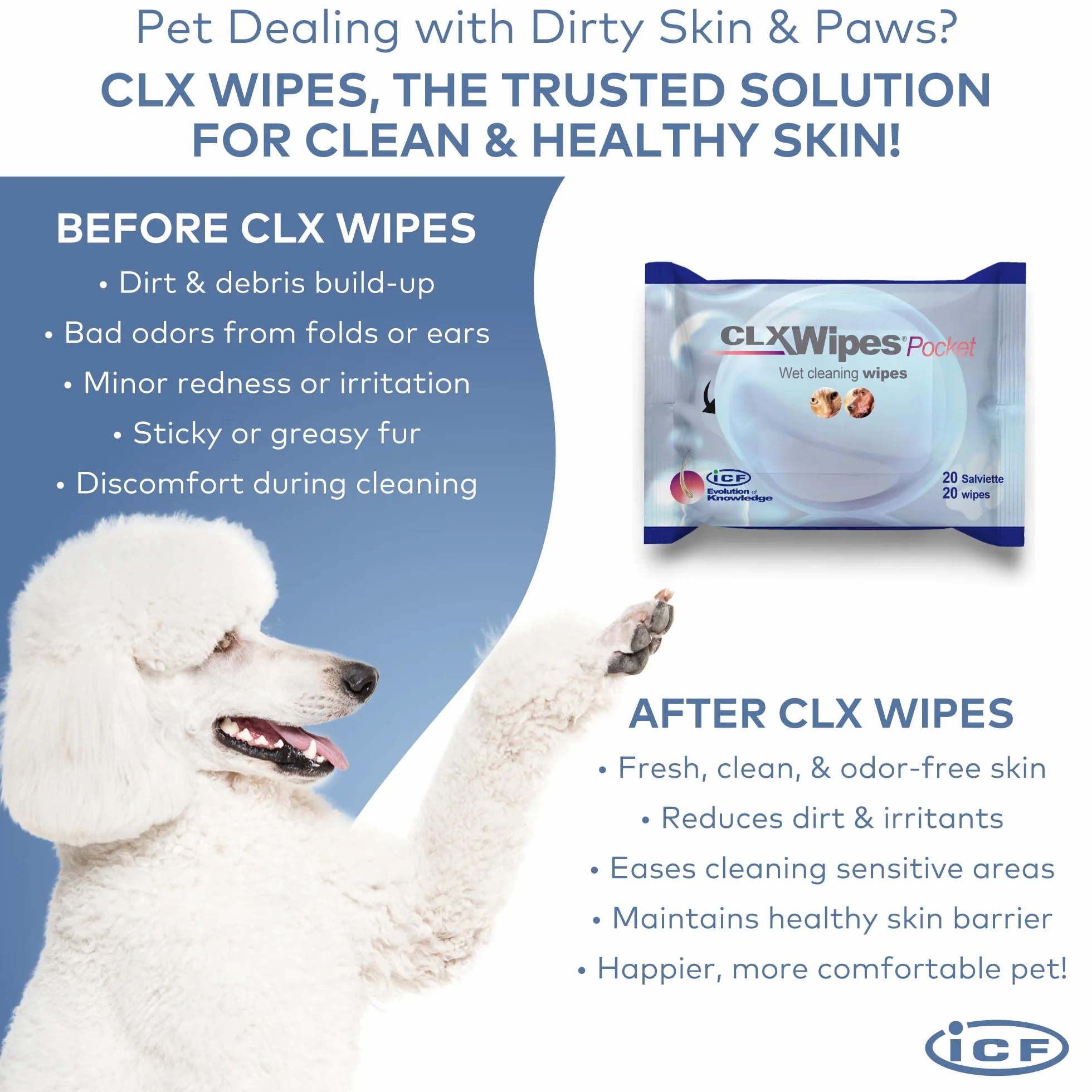 CLX WIPES POCKET 20 SZTUK