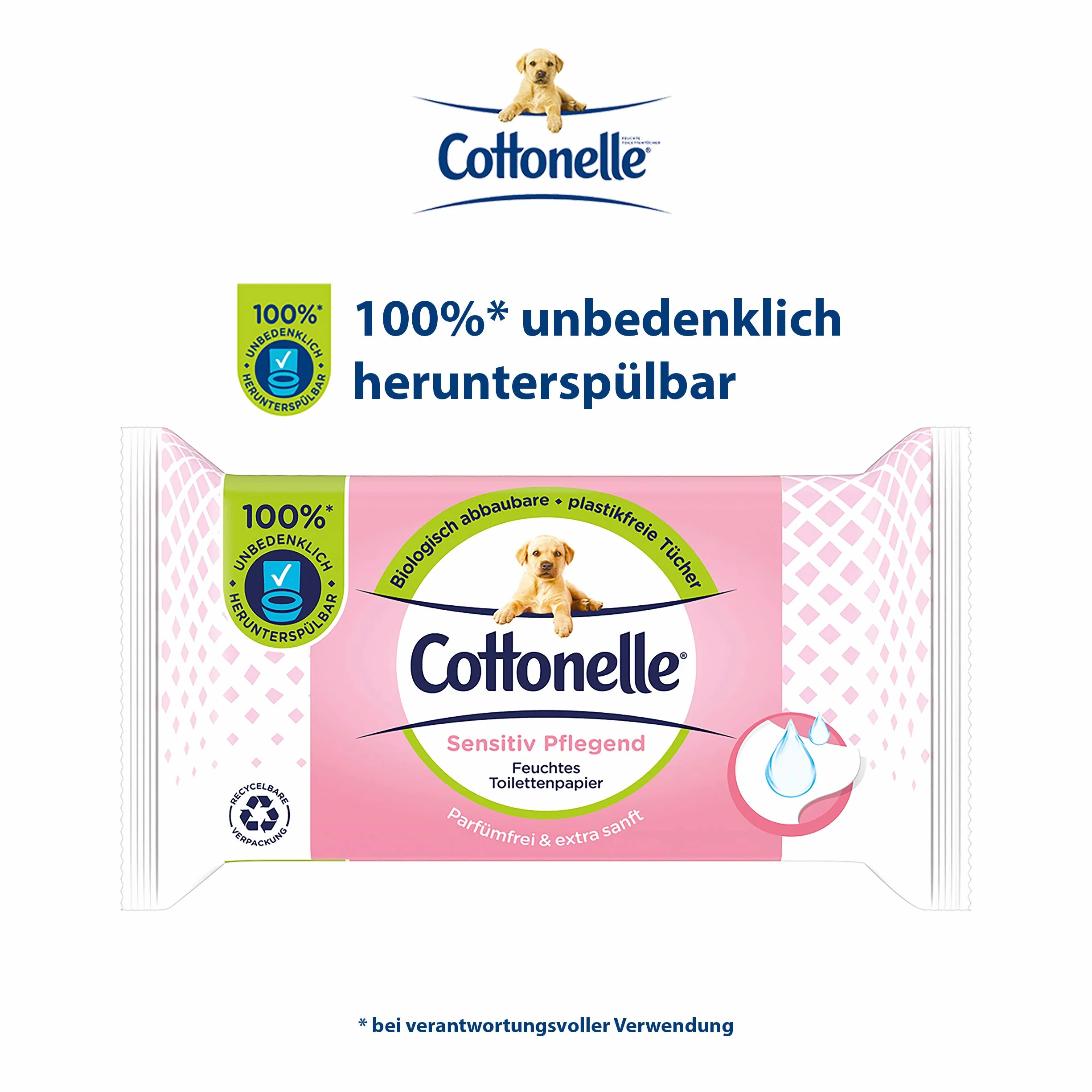Cottonelle Wilgotny papier toaletowy, delikatny pielęgnacyjny – nie zawiera perfum, biodegradowalny, nie zawiera plastiku, możliwość ponownego zamknięcia, opakowanie ekonomiczne, 12 x 42 chusteczki