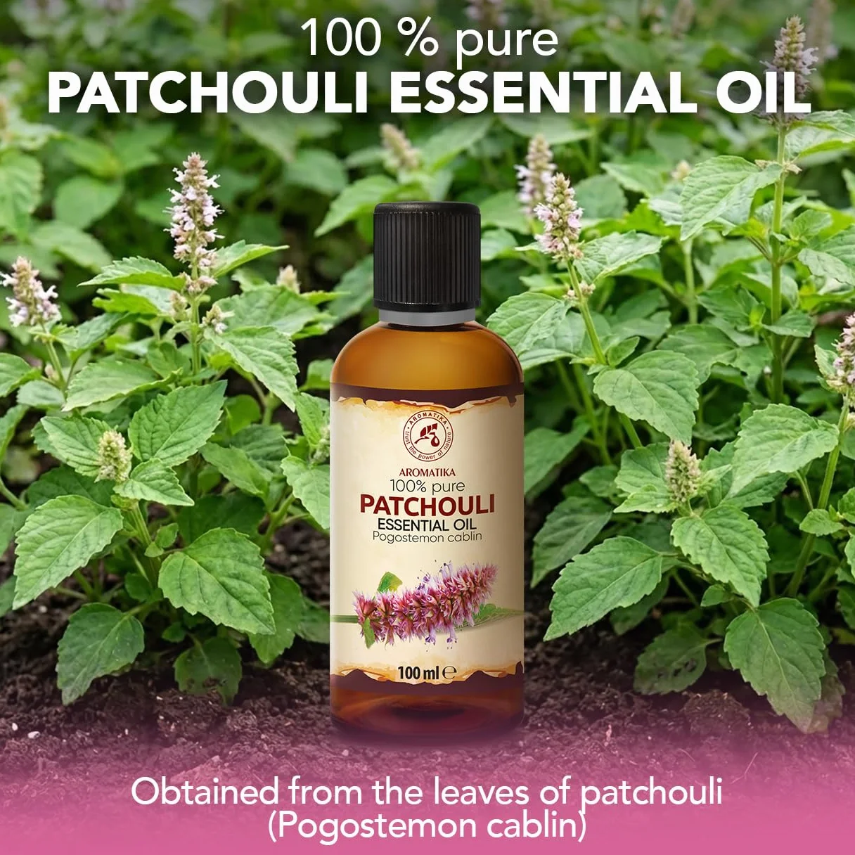 Olejek Eteryczny z Paczuli 100 ml Pogostemon Cablin Aromatyczny do Dyfuzora Aromaterapia
