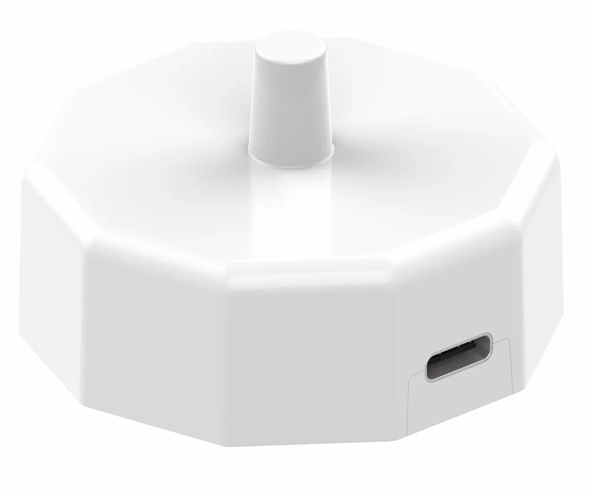 Ładowarka indukcyjna USB-C do podróży, kompatybilna z elektrycznymi szczoteczkami do zębów, kolor brązowy Oral B