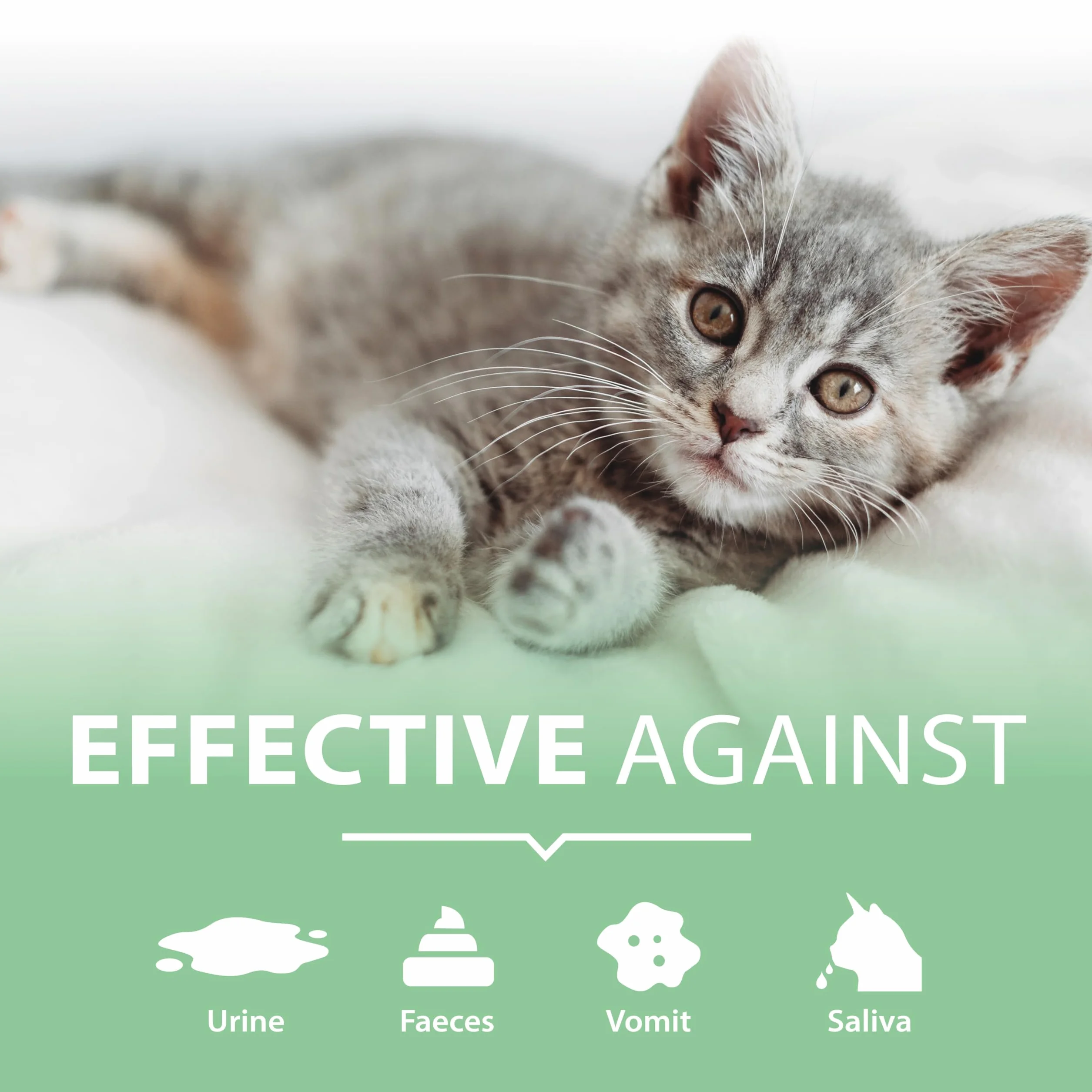 ARKA - PIPI-Weg Cat | Biologiczny środek do usuwania zapachów i czyszczenia plam na dywanie, kanapie, tapicerce i podłodze | Usuwa koci mocz, kał, wymiociny i ślinę | Zawartość: 750ml