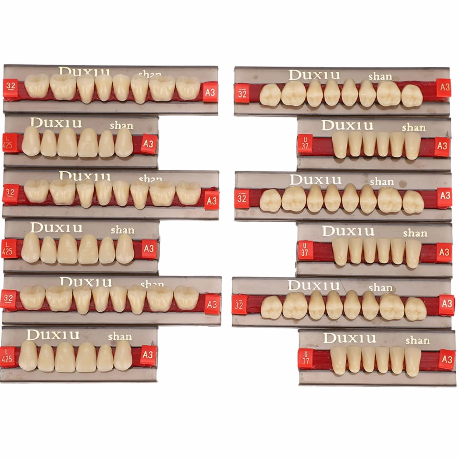Sztuczne zęby żywica proteza materiał dentystyczny 12 sztuk DIY Halloween