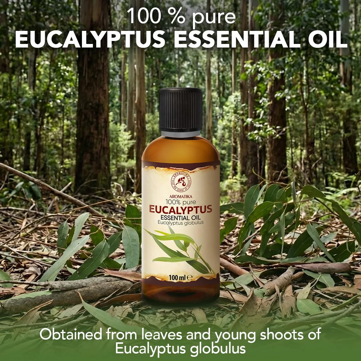Olejek Eteryczny Eukaliptusowy 100 ml Eucalyptus Globulus Aromaterapia