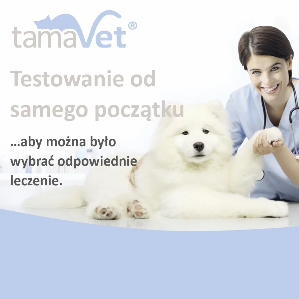 tamaVet Szybki test na lamblie dla psa i kota – Natychmiastowa pewność co do zdrowia zwierzęcia przy biegunce i pasożytach jelitowych – Do wykrywania antygenów lamblii w kale