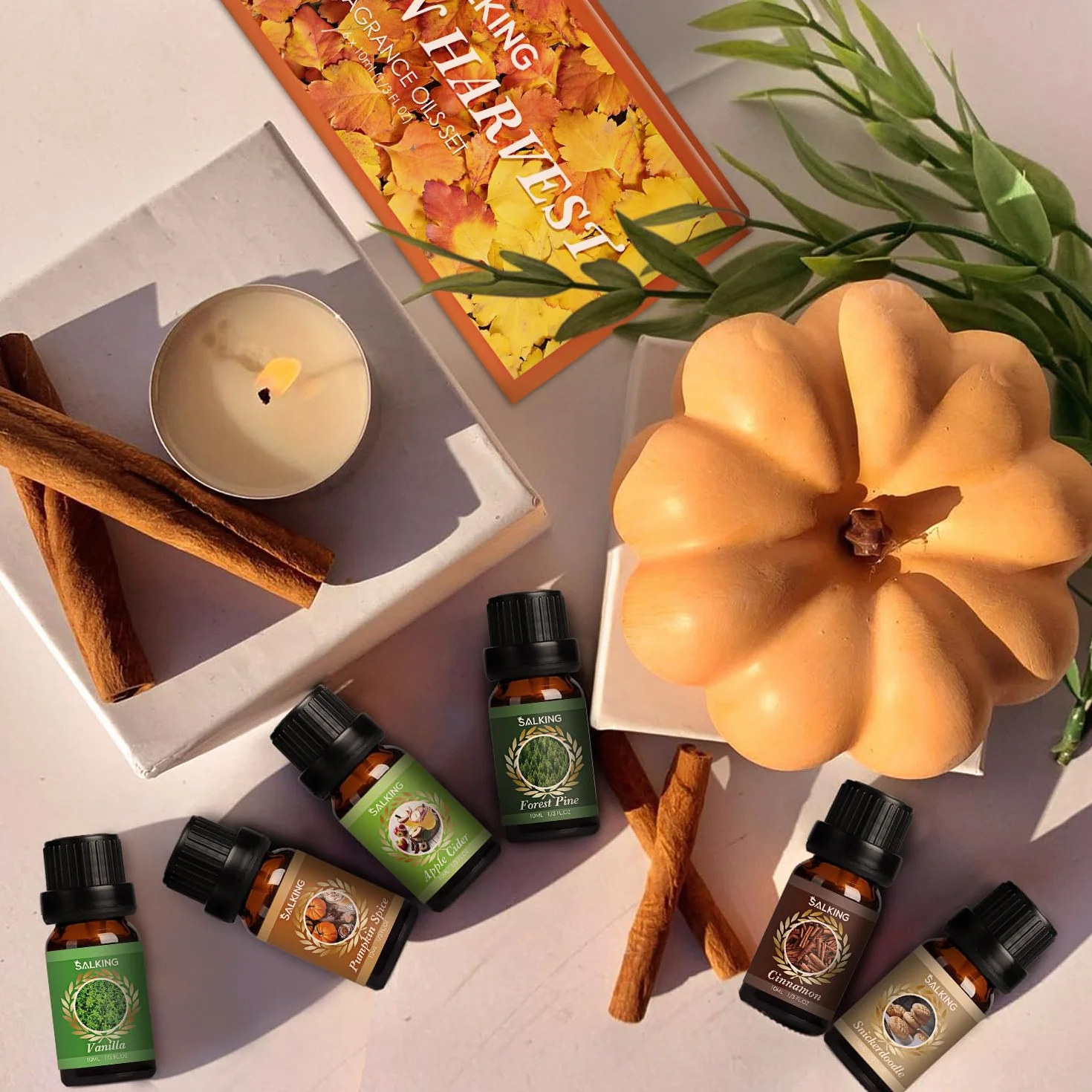 SALKING Jesienny zestaw olejków eterycznych 6 x 10 ml 100% bio aromaterapia